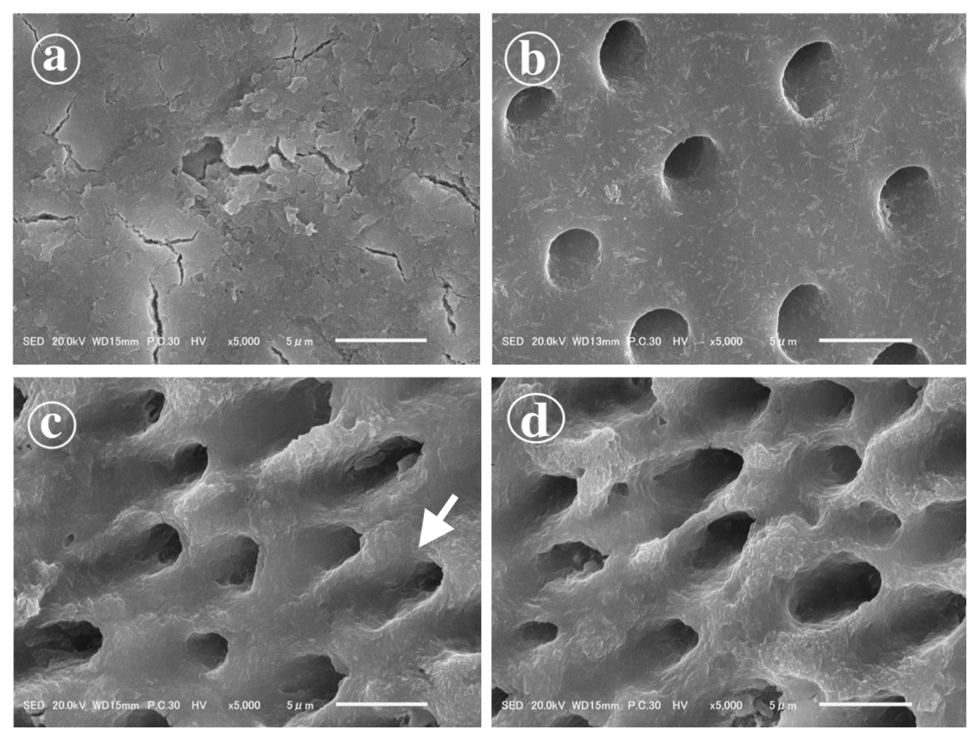 Polymers 13 03901 g002