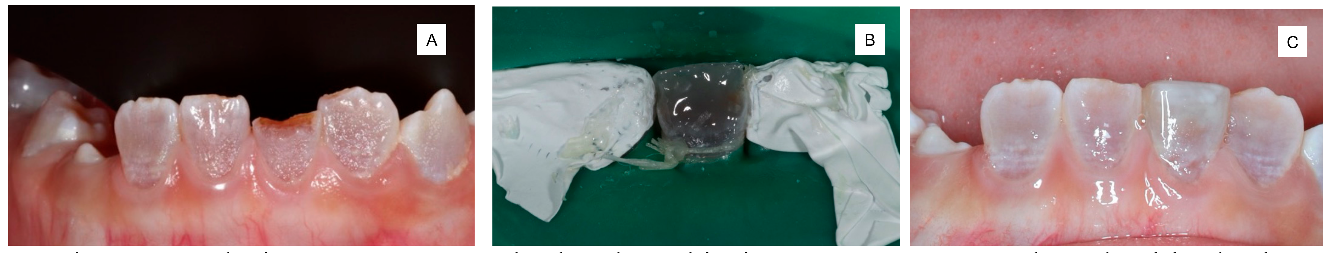 Polymers 13 03902 g001