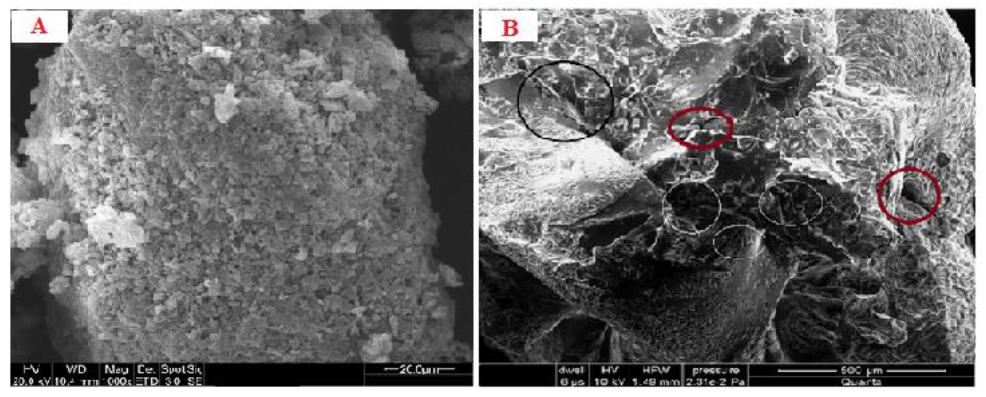 Polymers 13 03904 g001