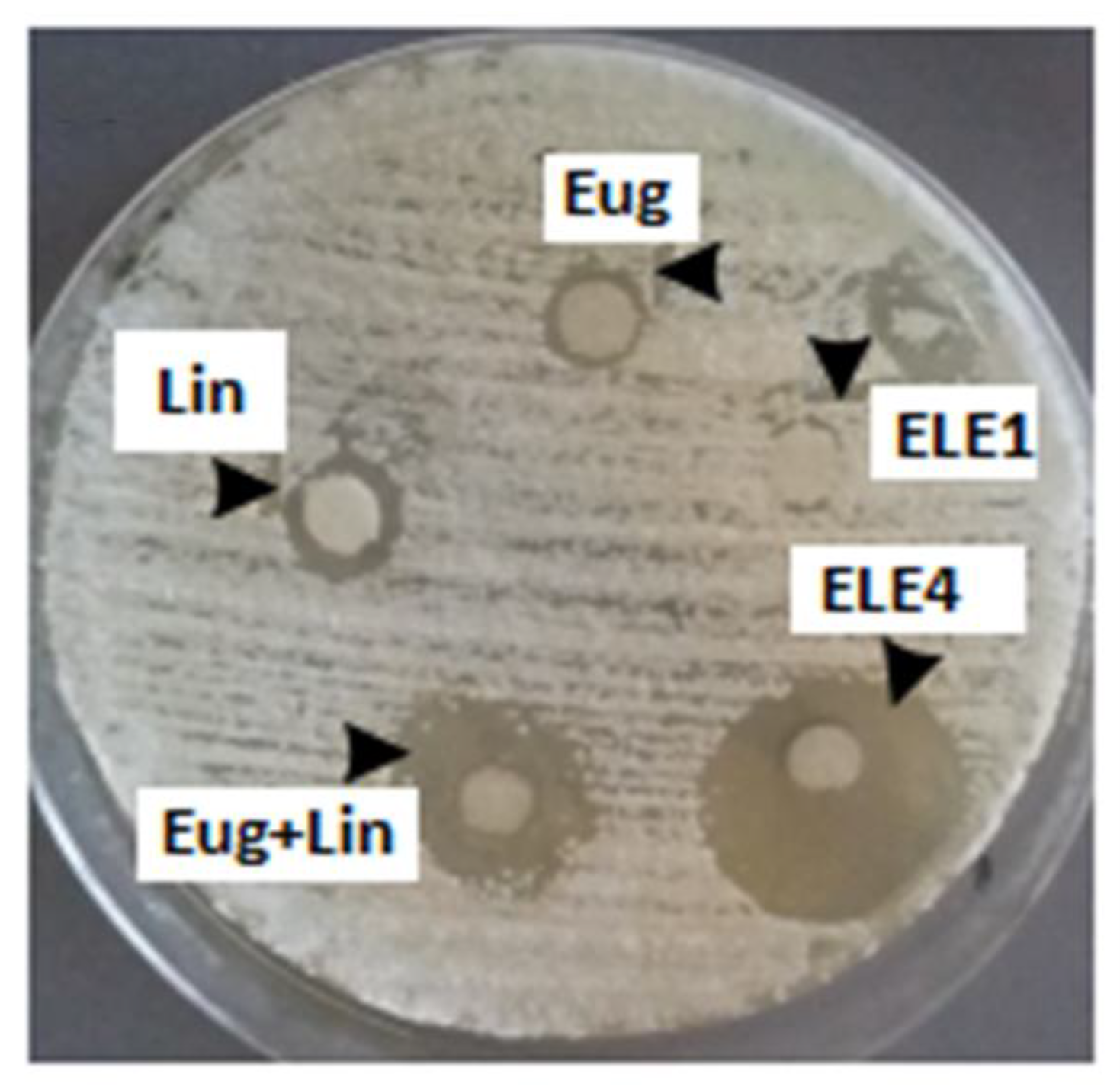 Polymers 13 03904 g007