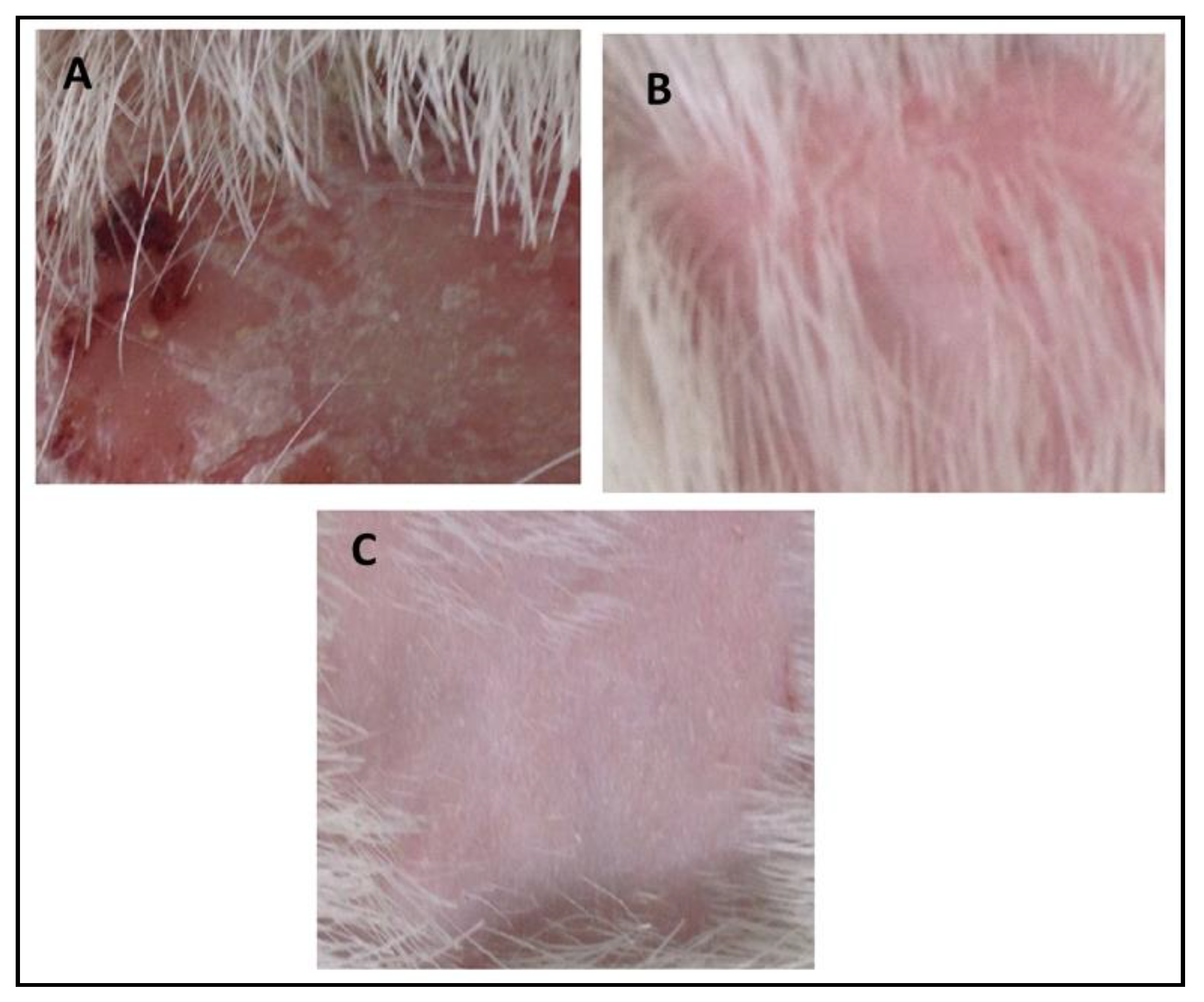 Polymers 13 03904 g008