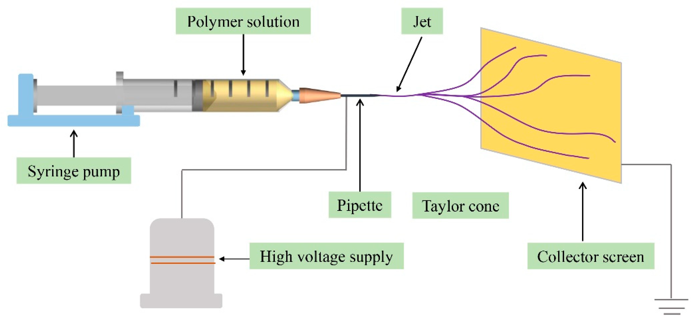Polymers 13 03906 g001