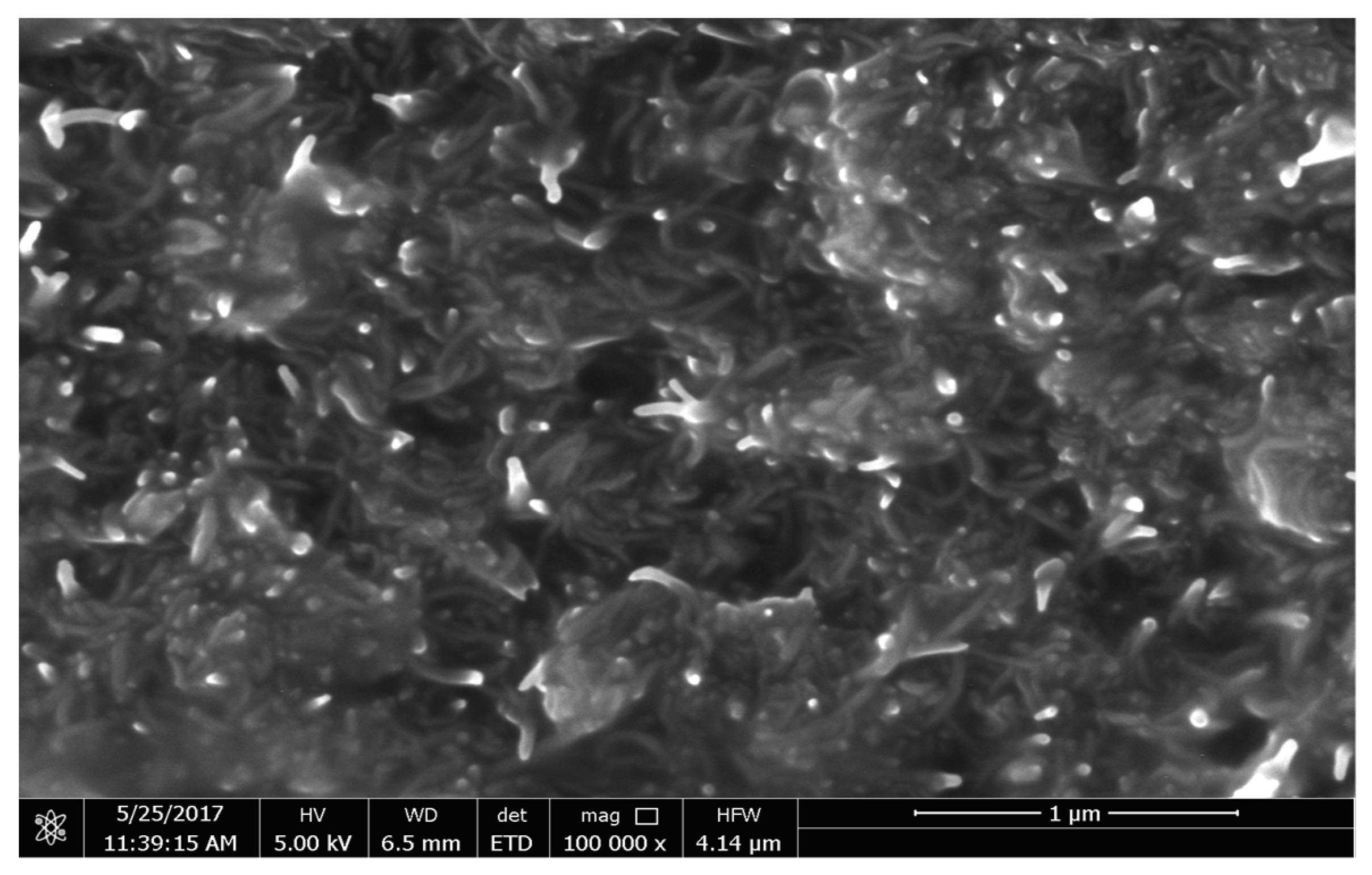 Polymers 13 03907 g004