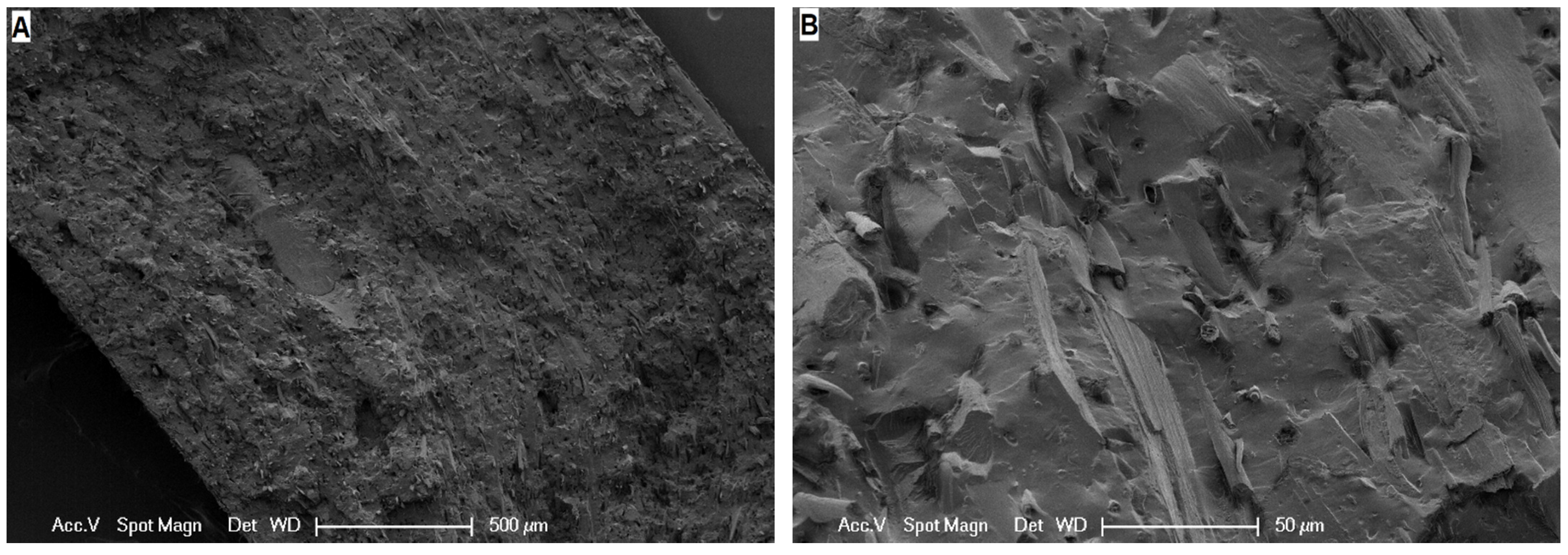 Polymers 13 03908 g006
