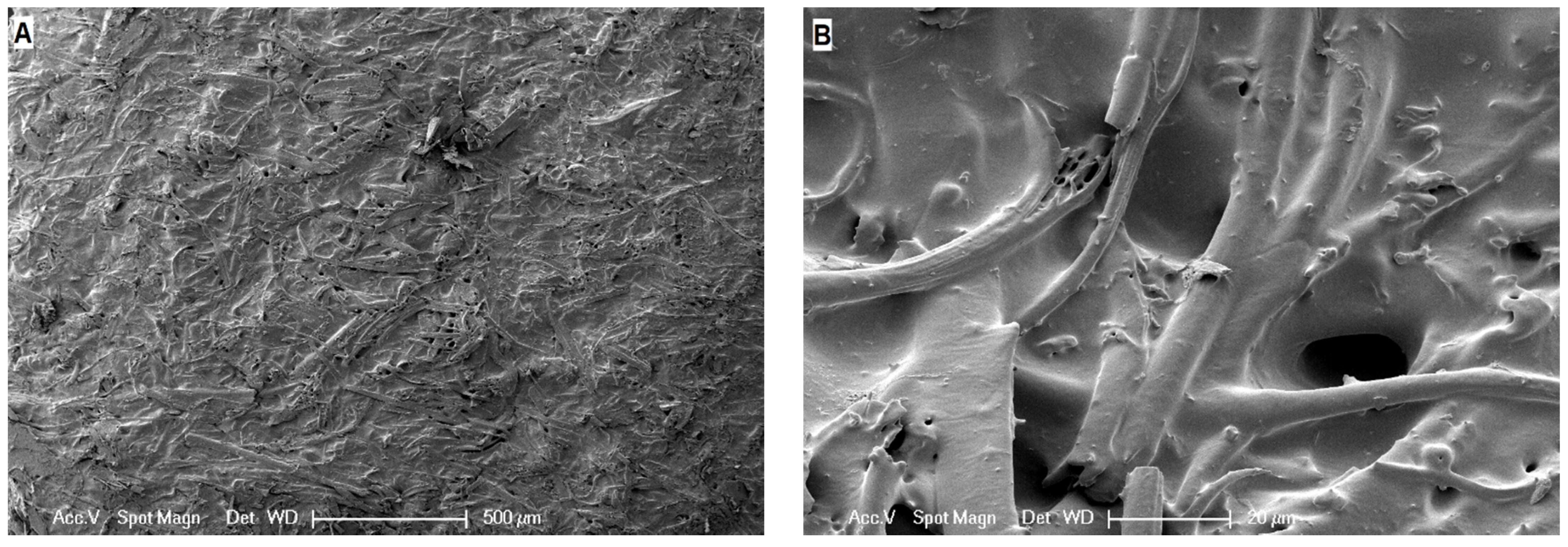 Polymers 13 03908 g009