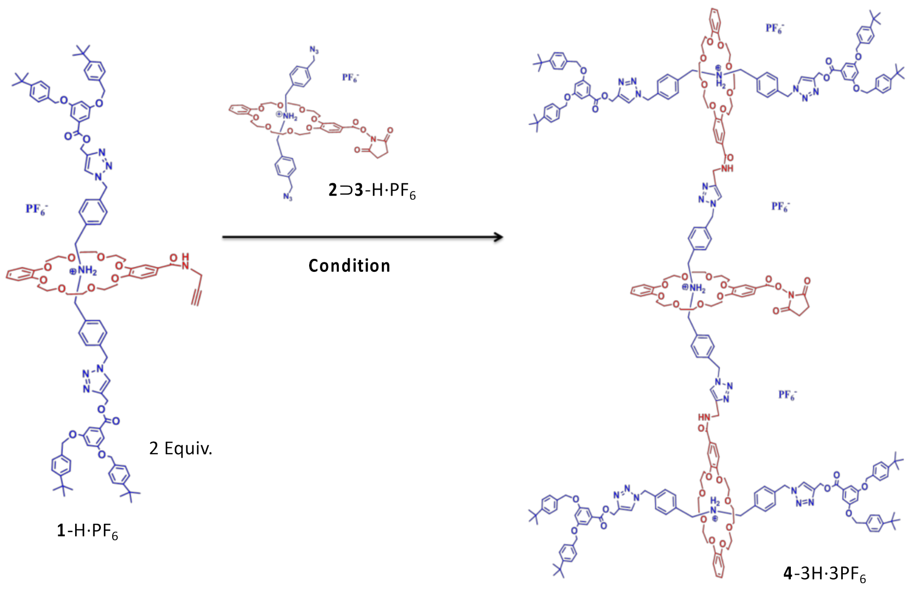 Polymers 13 03909 g001