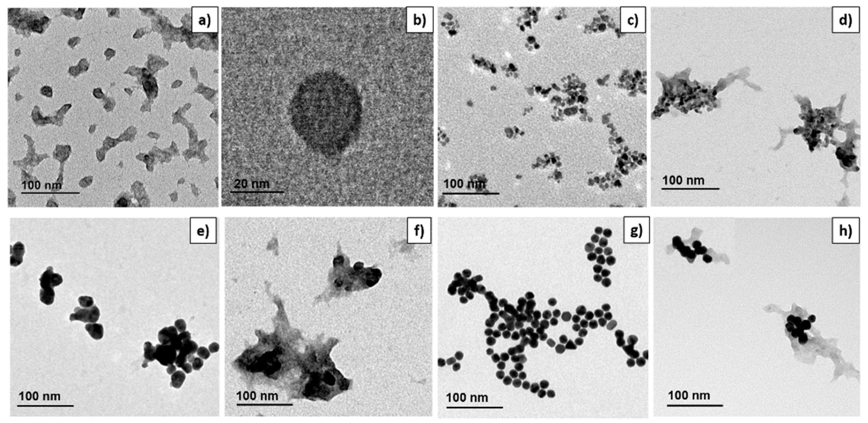 Polymers 13 03910 g001