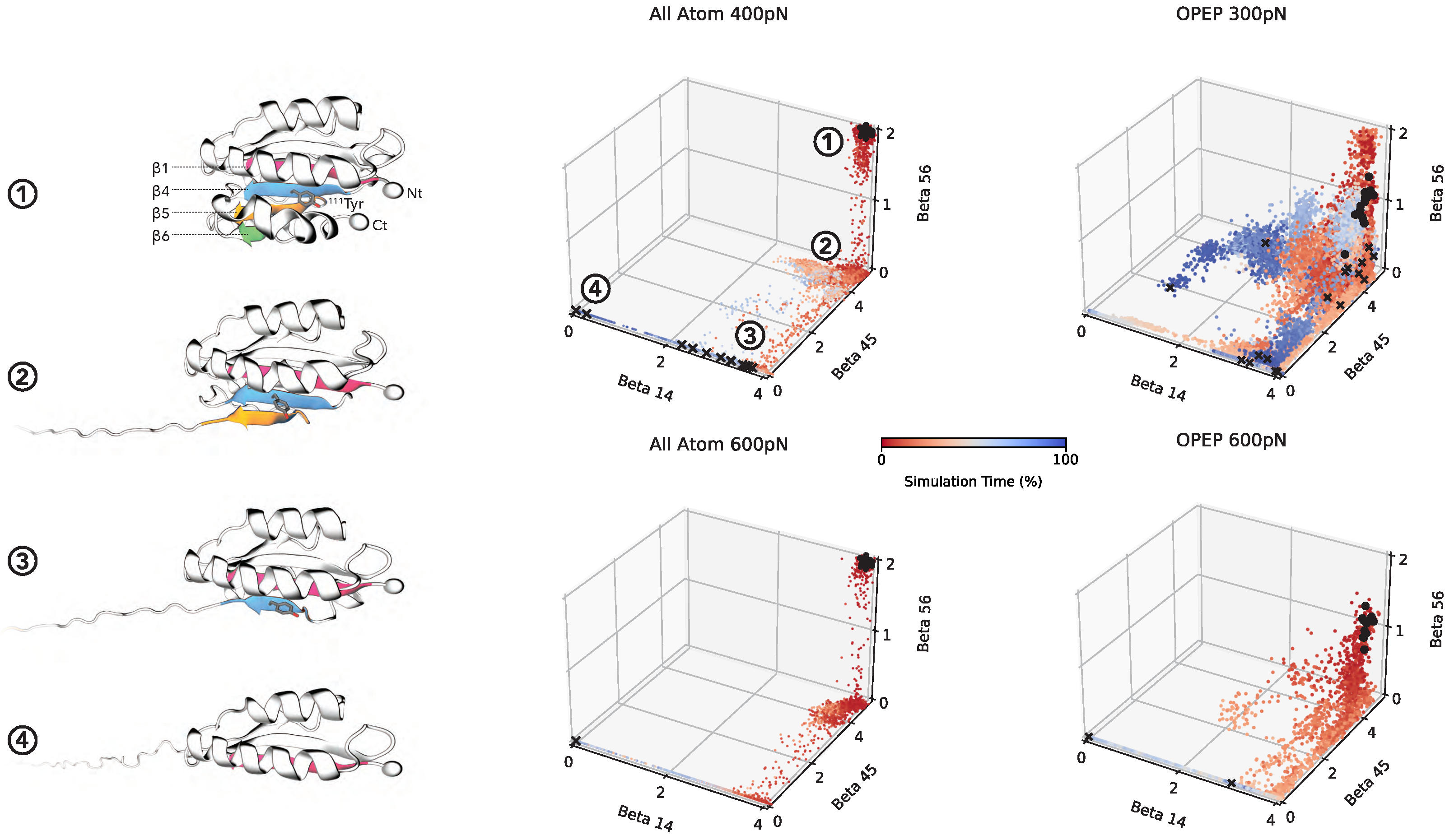 Polymers 13 03912 g003 Polymers 13 03912 g003