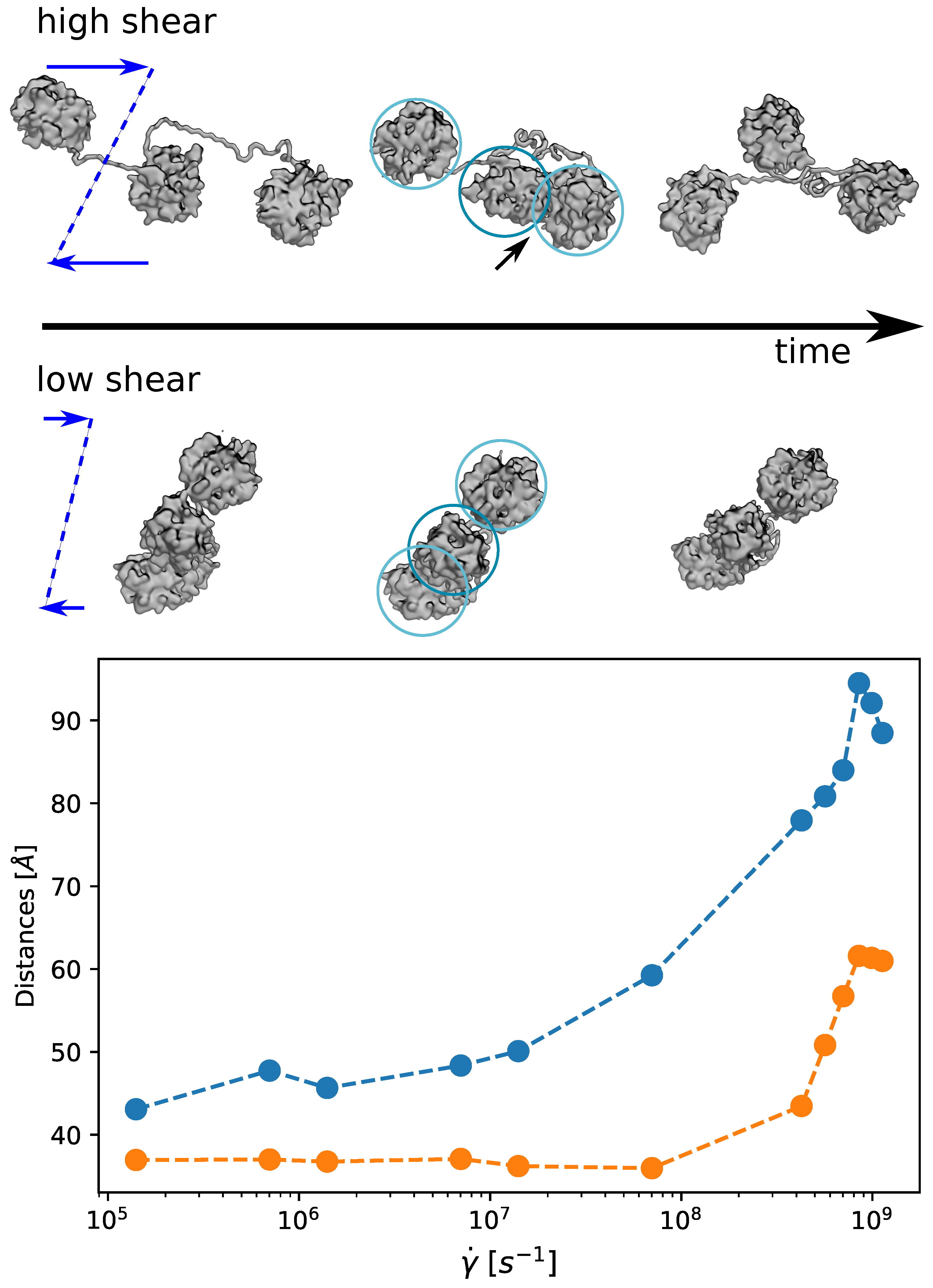 Polymers 13 03912 g010 Polymers 13 03912 g010
