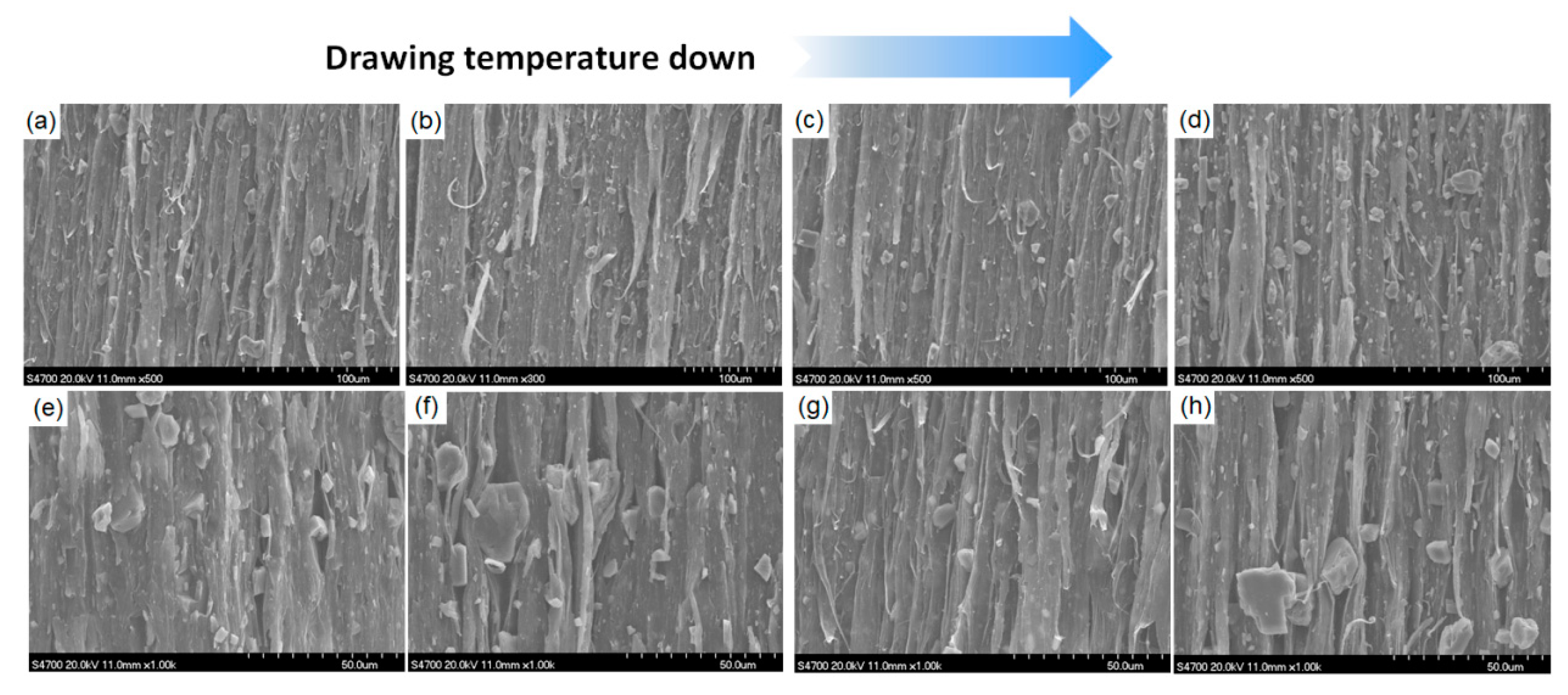 Polymers 13 03913 g007