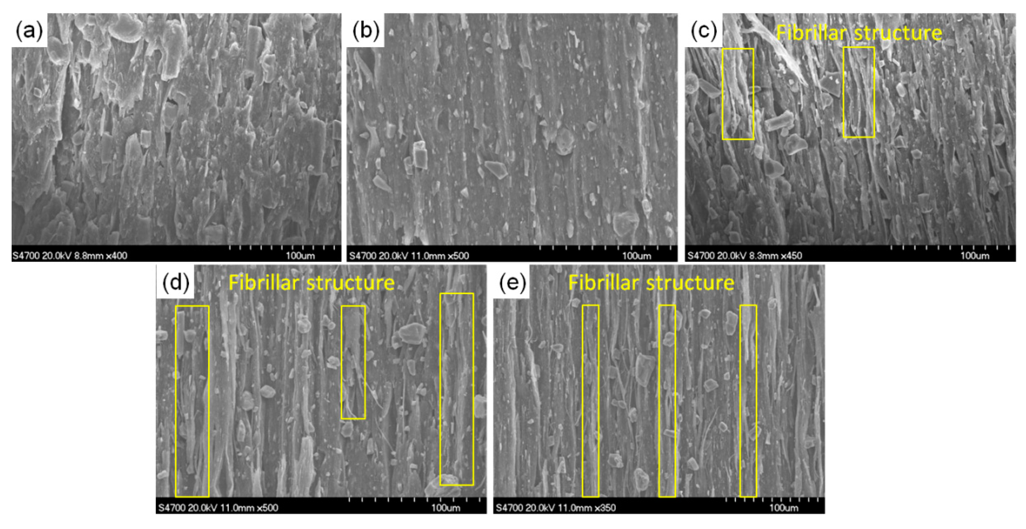 Polymers 13 03913 g010