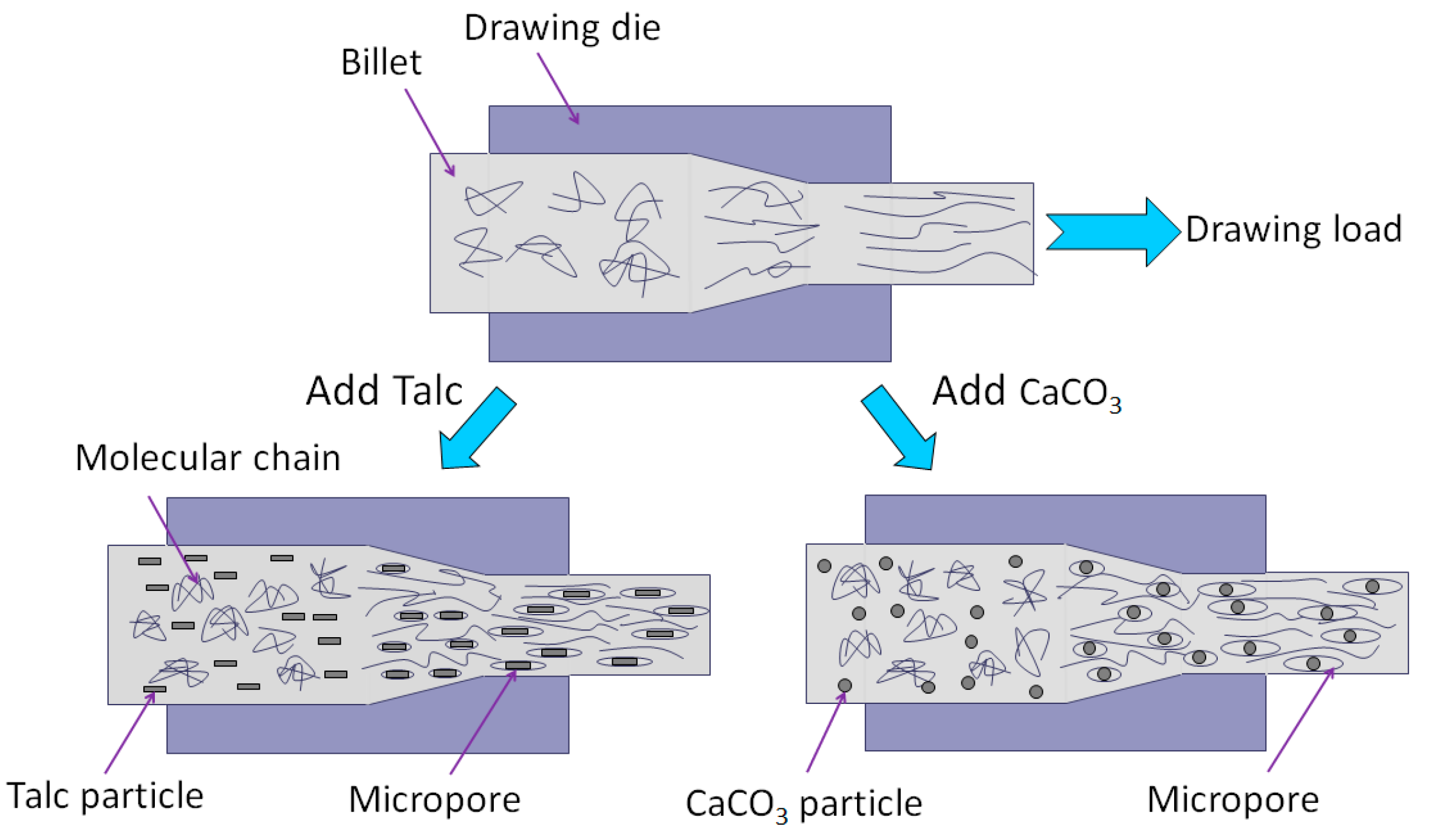 Polymers 13 03913 g011
