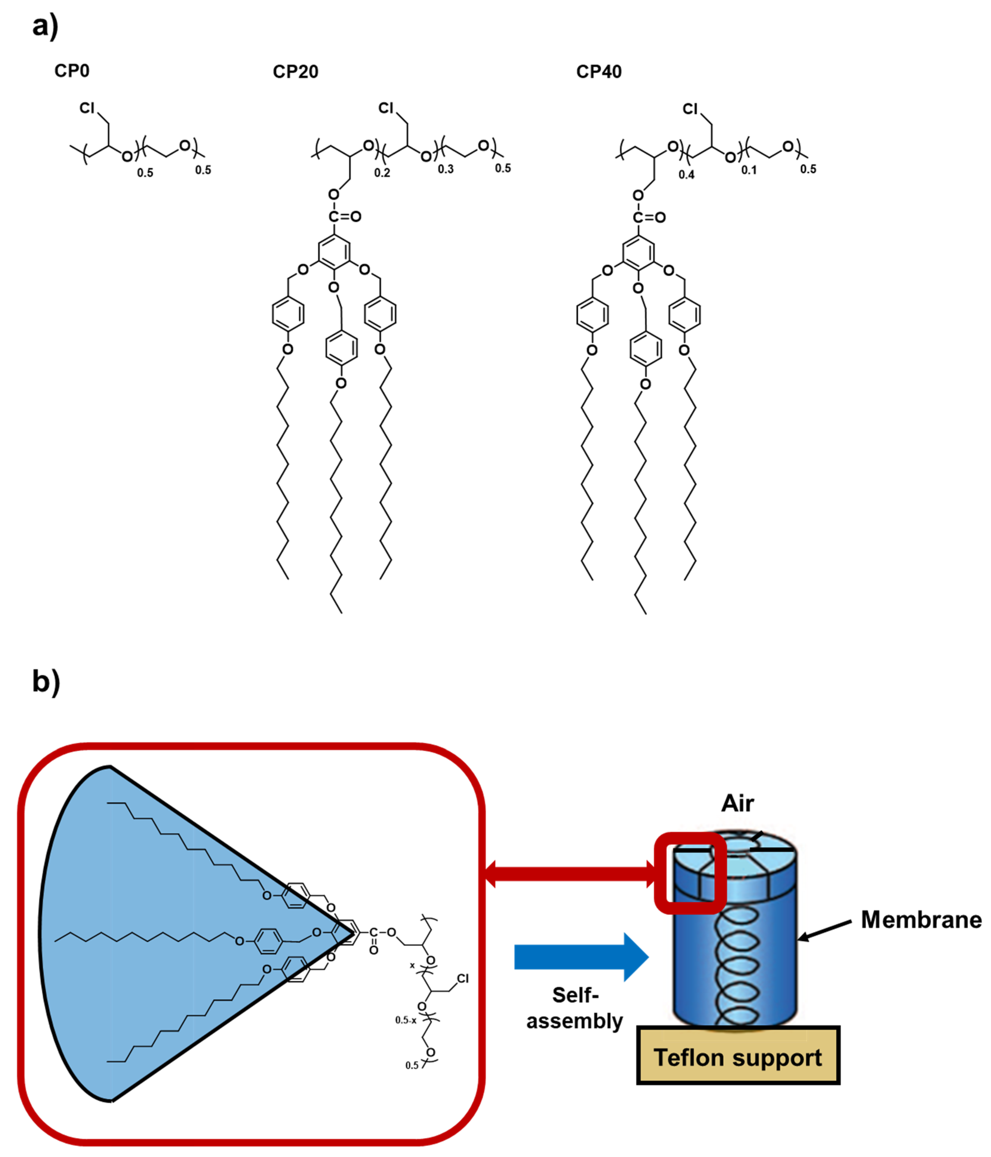 Polymers 13 03915 g001
