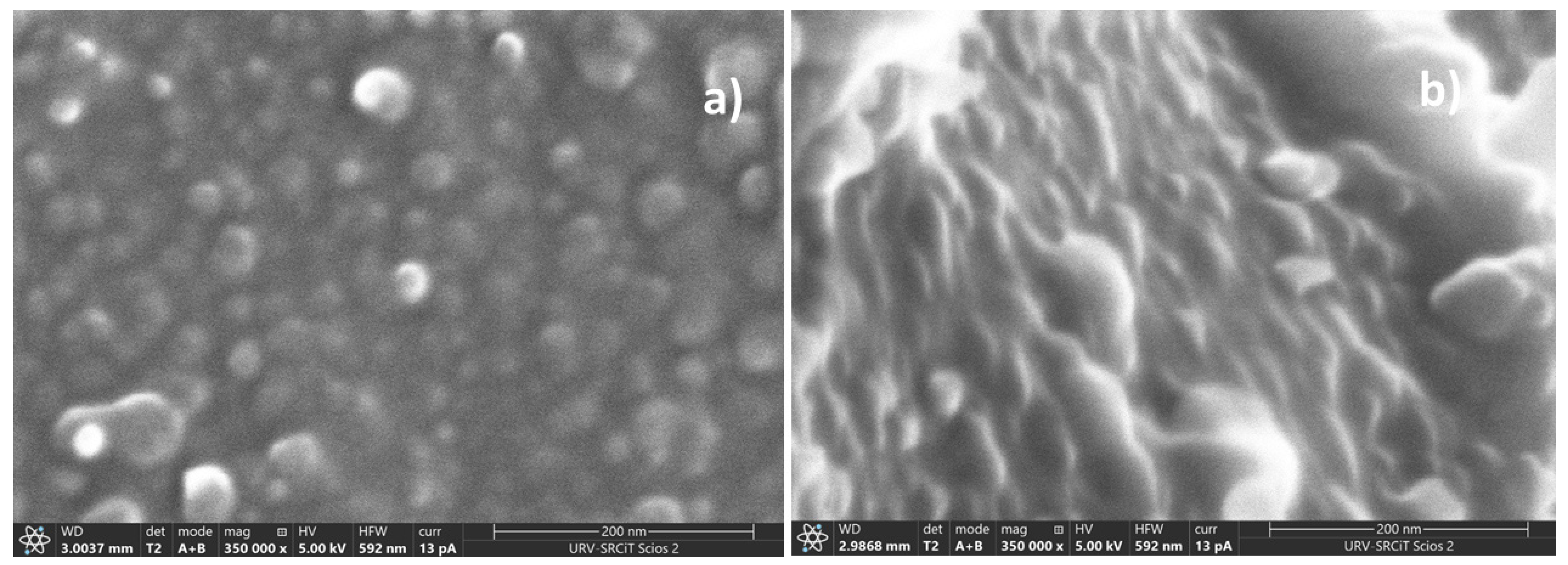 Polymers 13 03915 g003