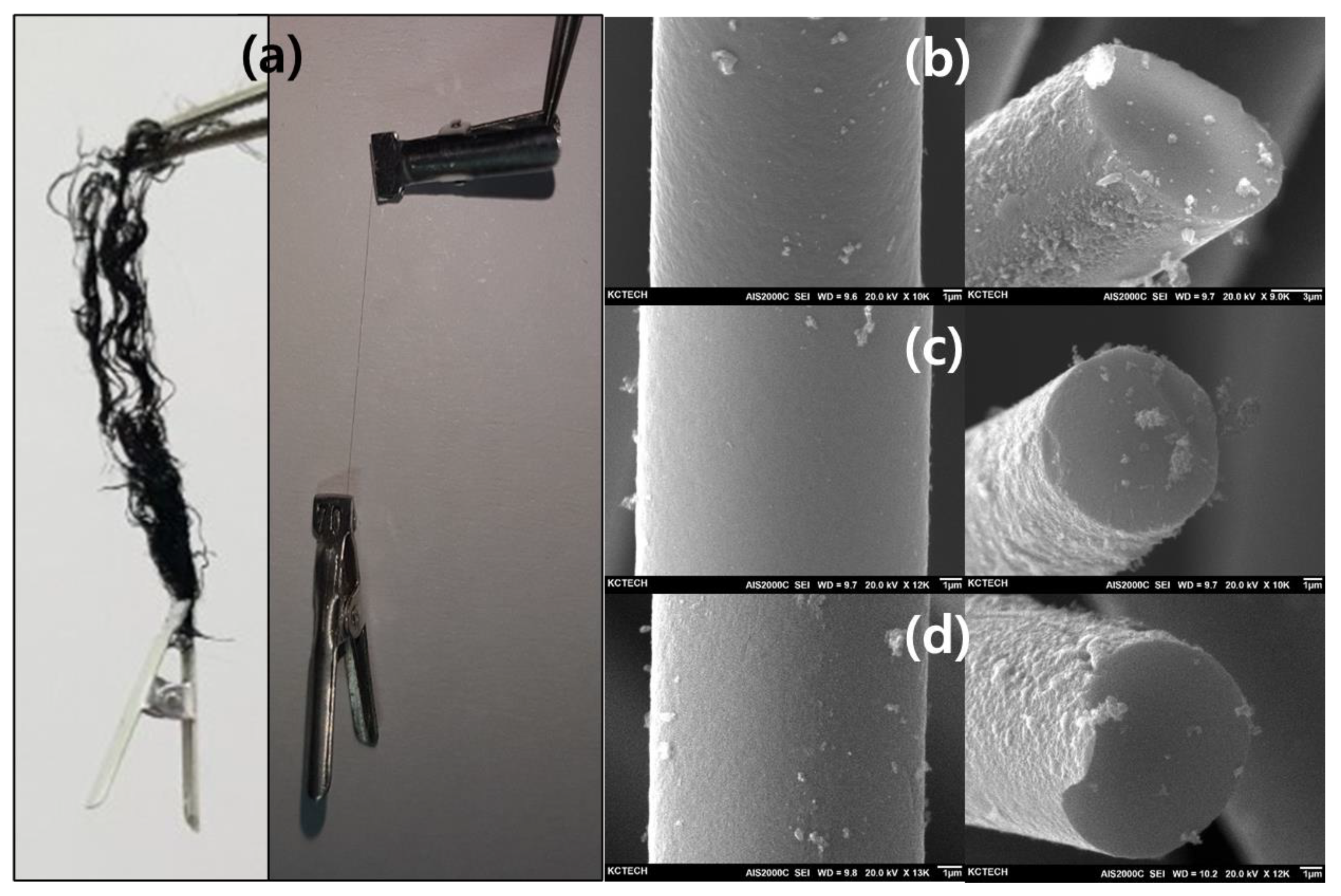 Polymers 13 03918 g007