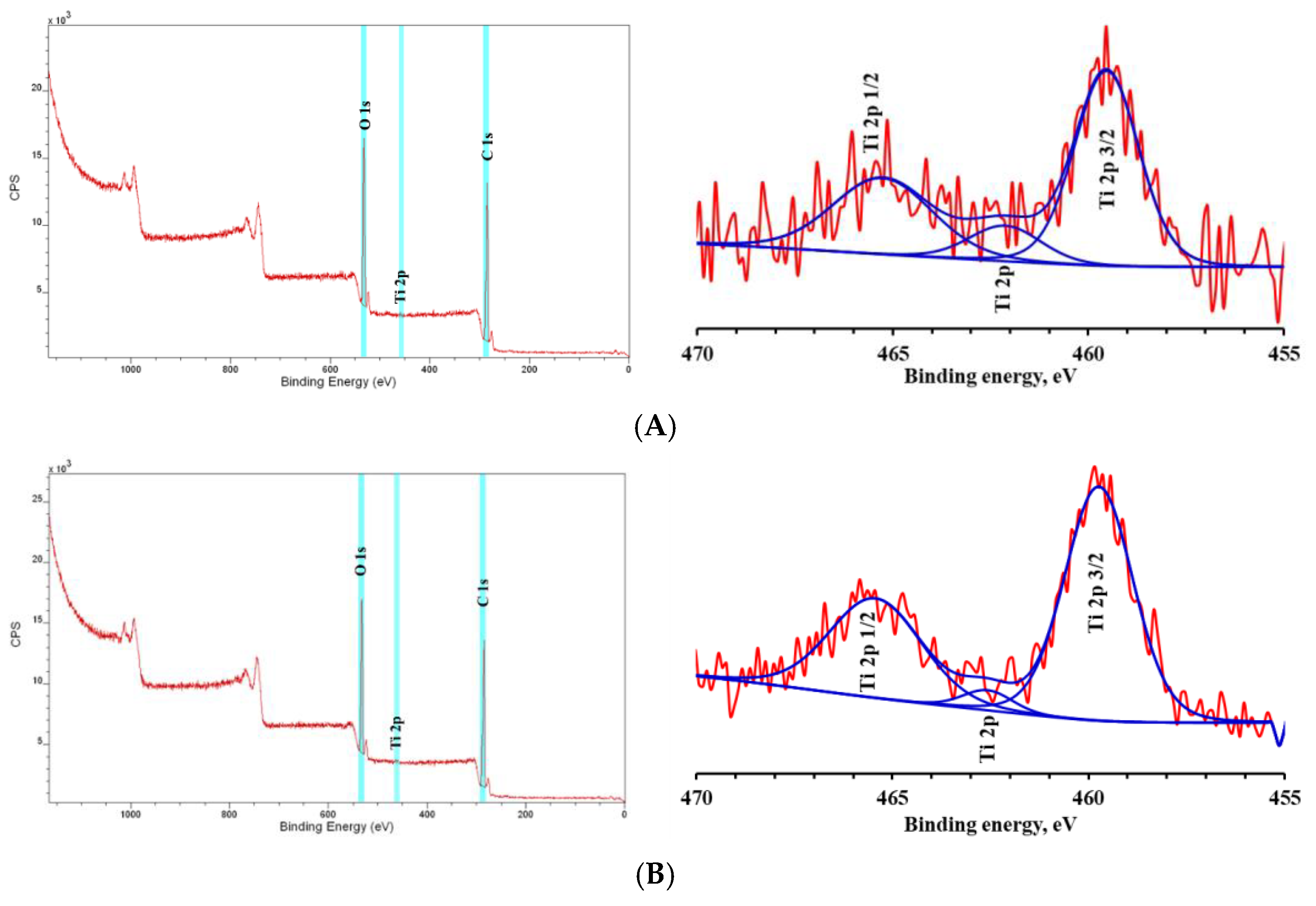 Polymers 13 03923 g002