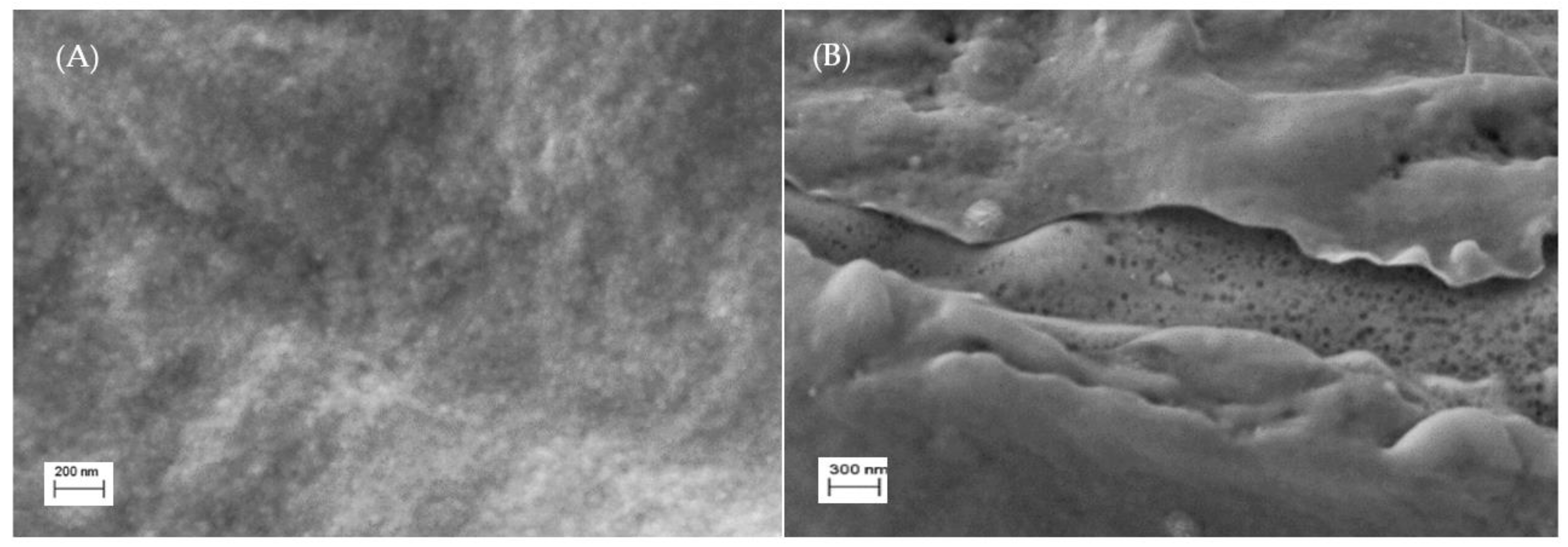 Polymers 13 03924 g003