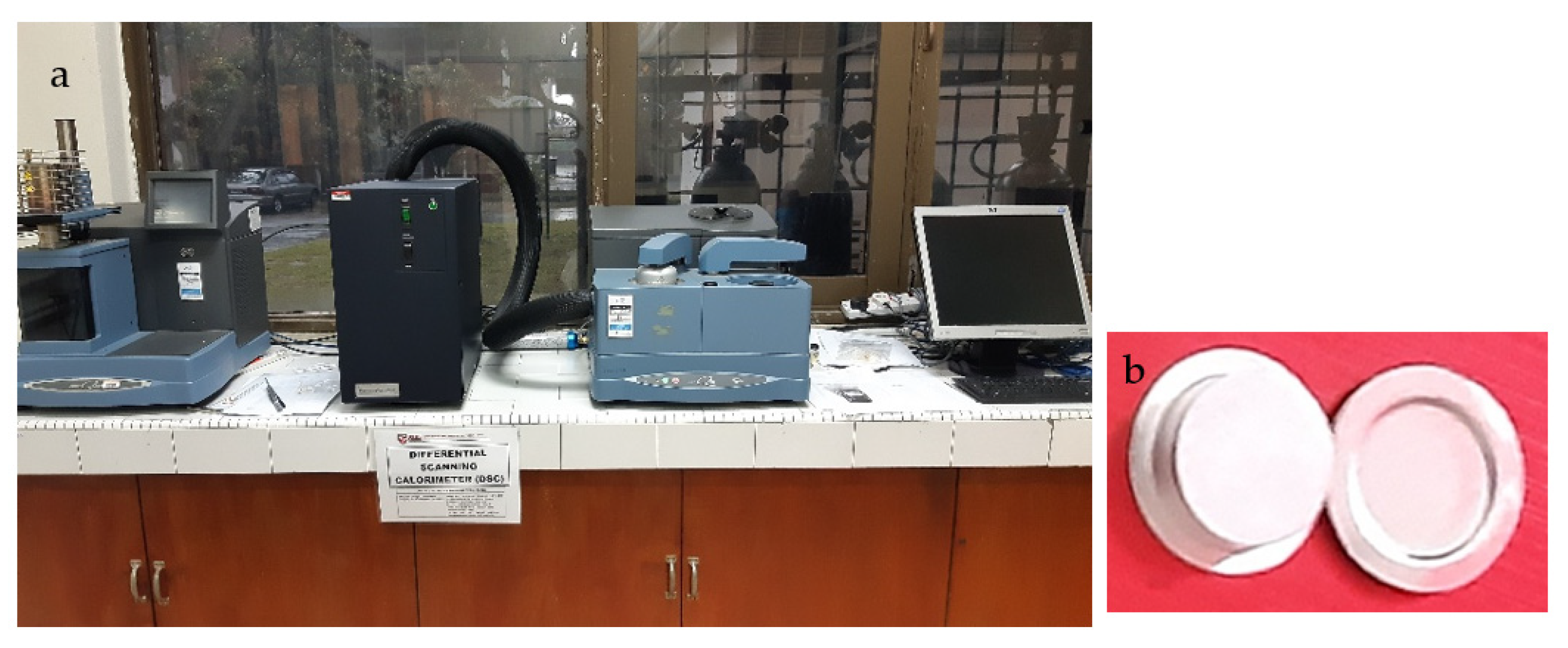 Polymers 13 03928 g004