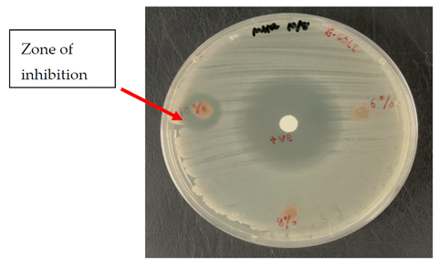 Polymers 13 03928 i001