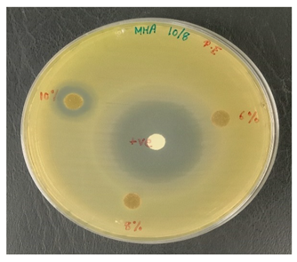 Polymers 13 03928 i002