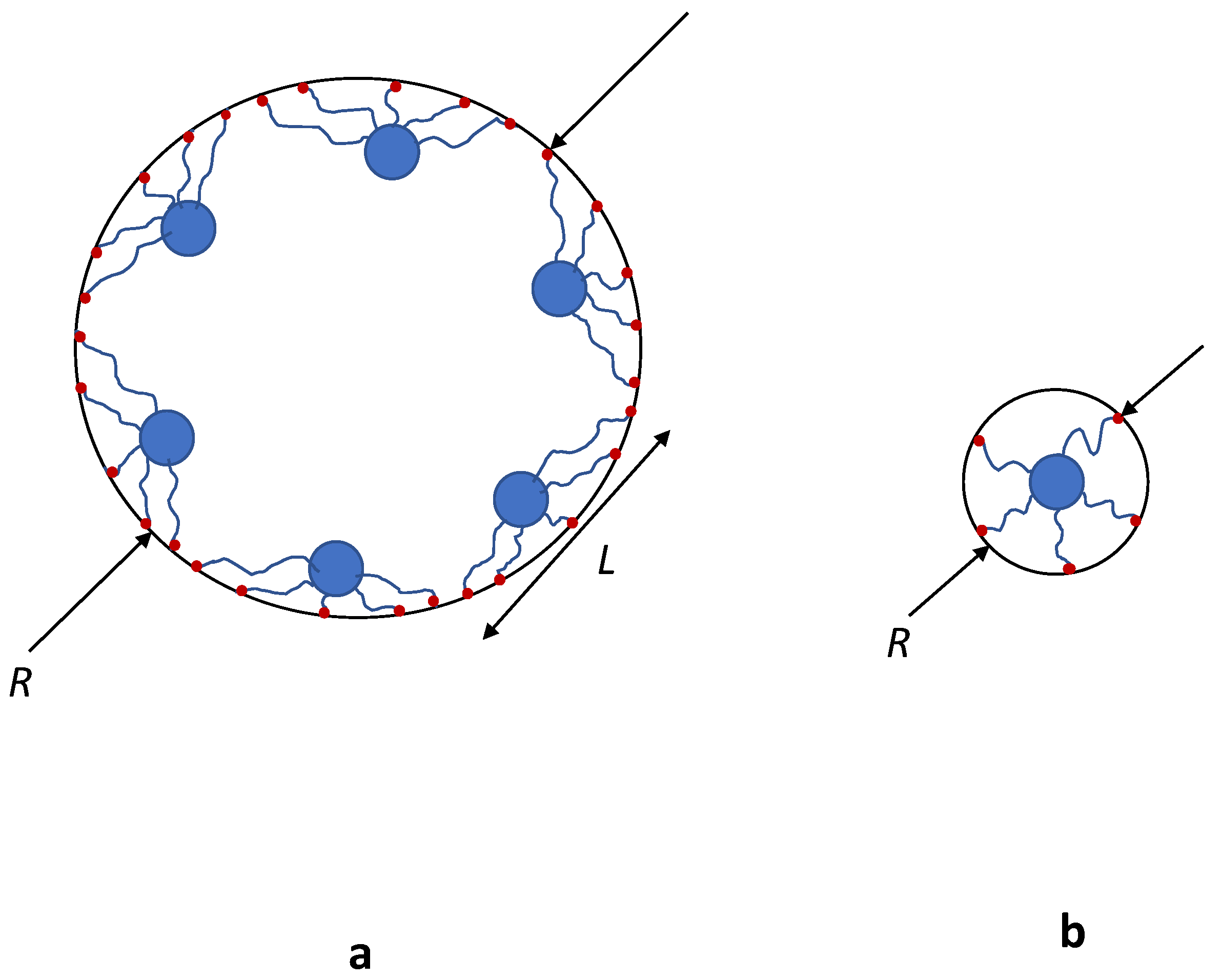 Polymers 13 03929 g013