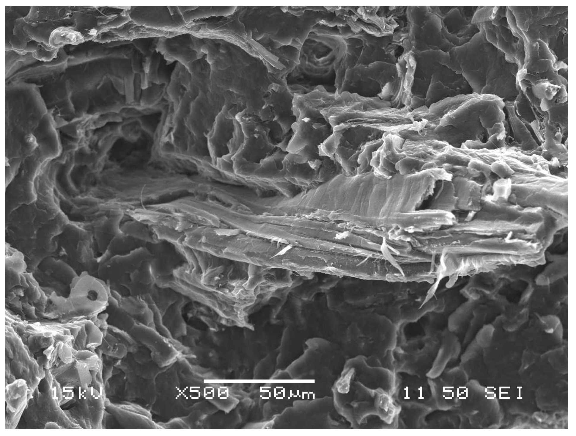 Polymers 13 03931 g008