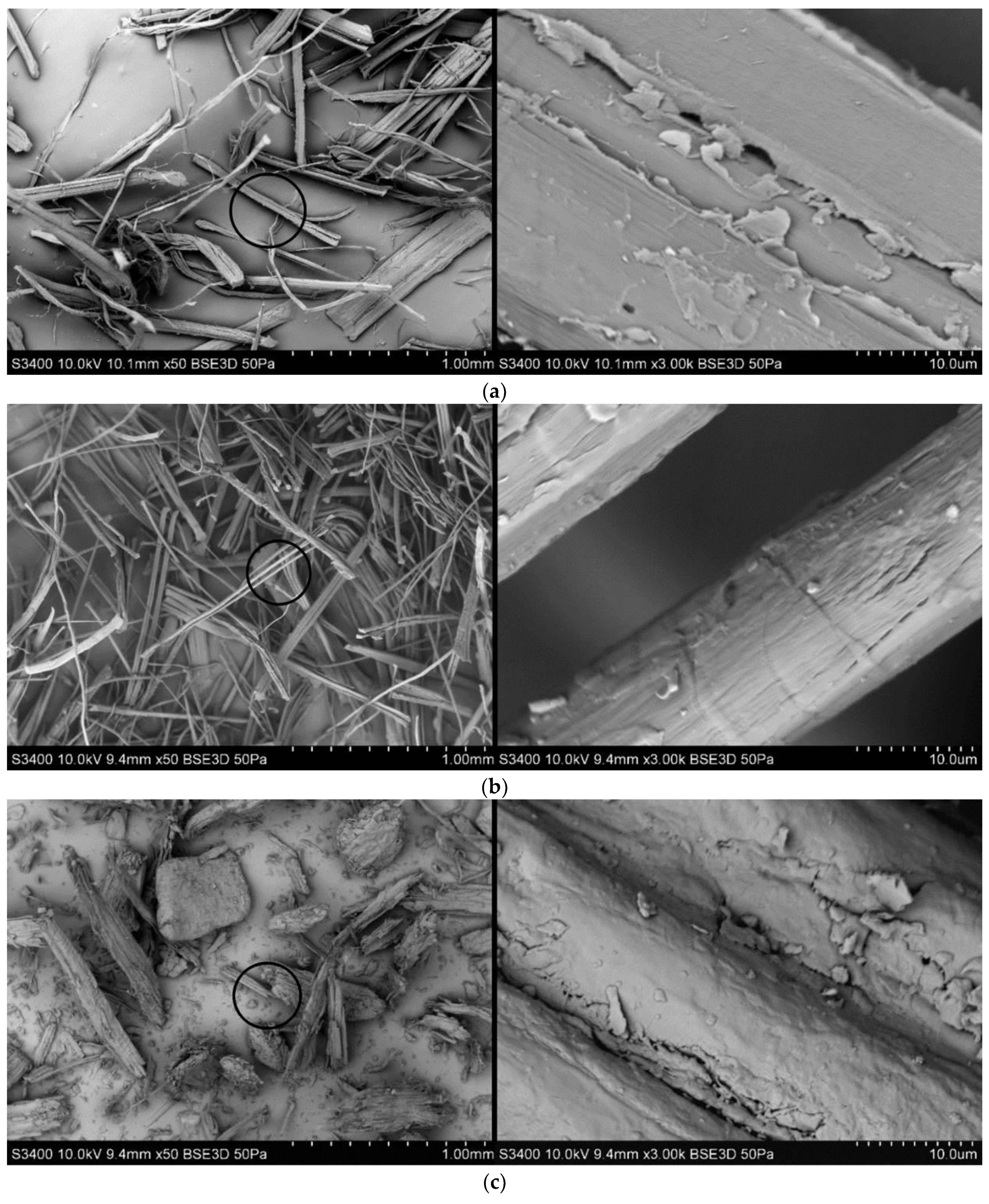 Polymers 13 03934 g001