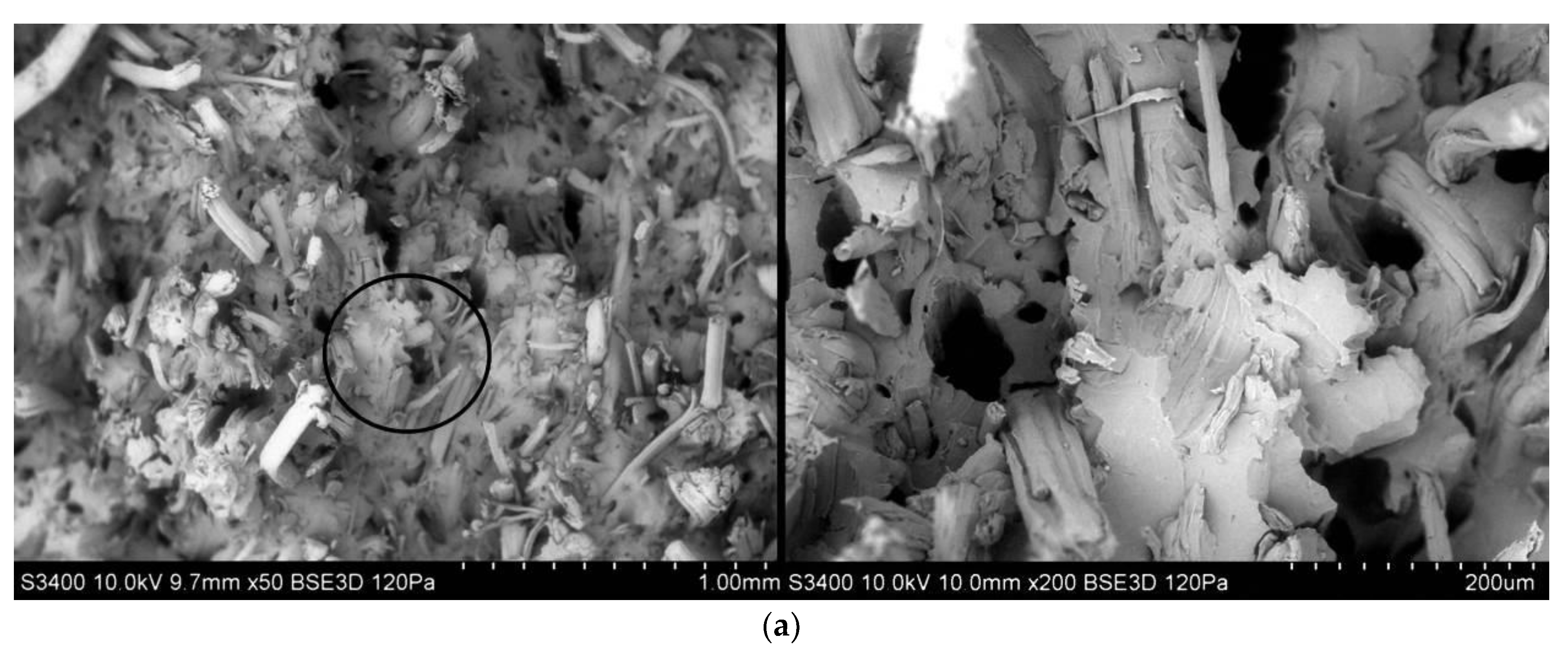 Polymers 13 03934 g010a