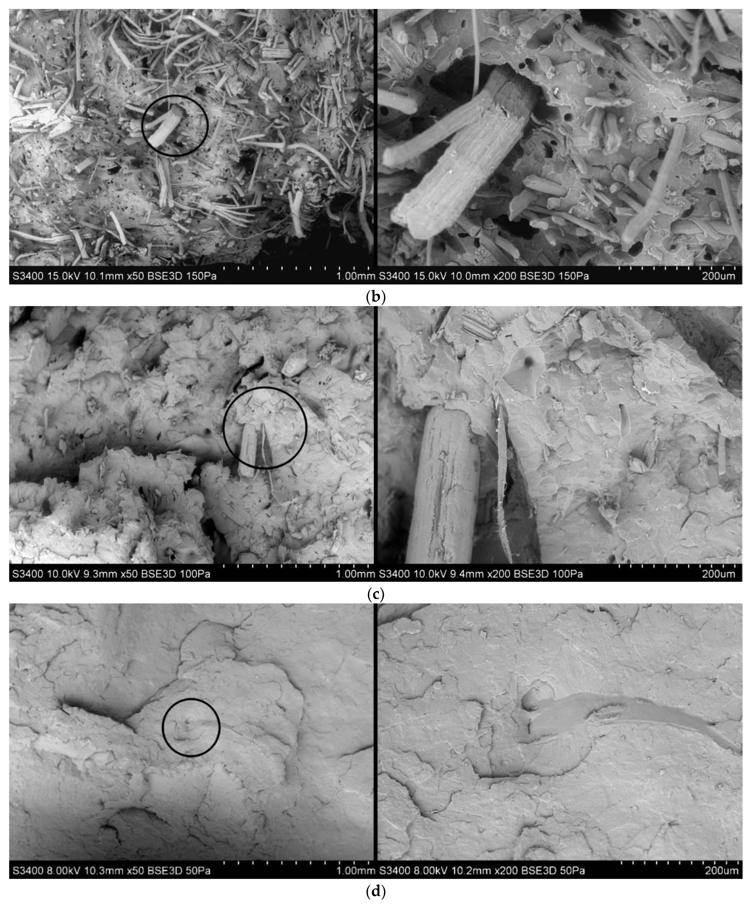 Polymers 13 03934 g010b