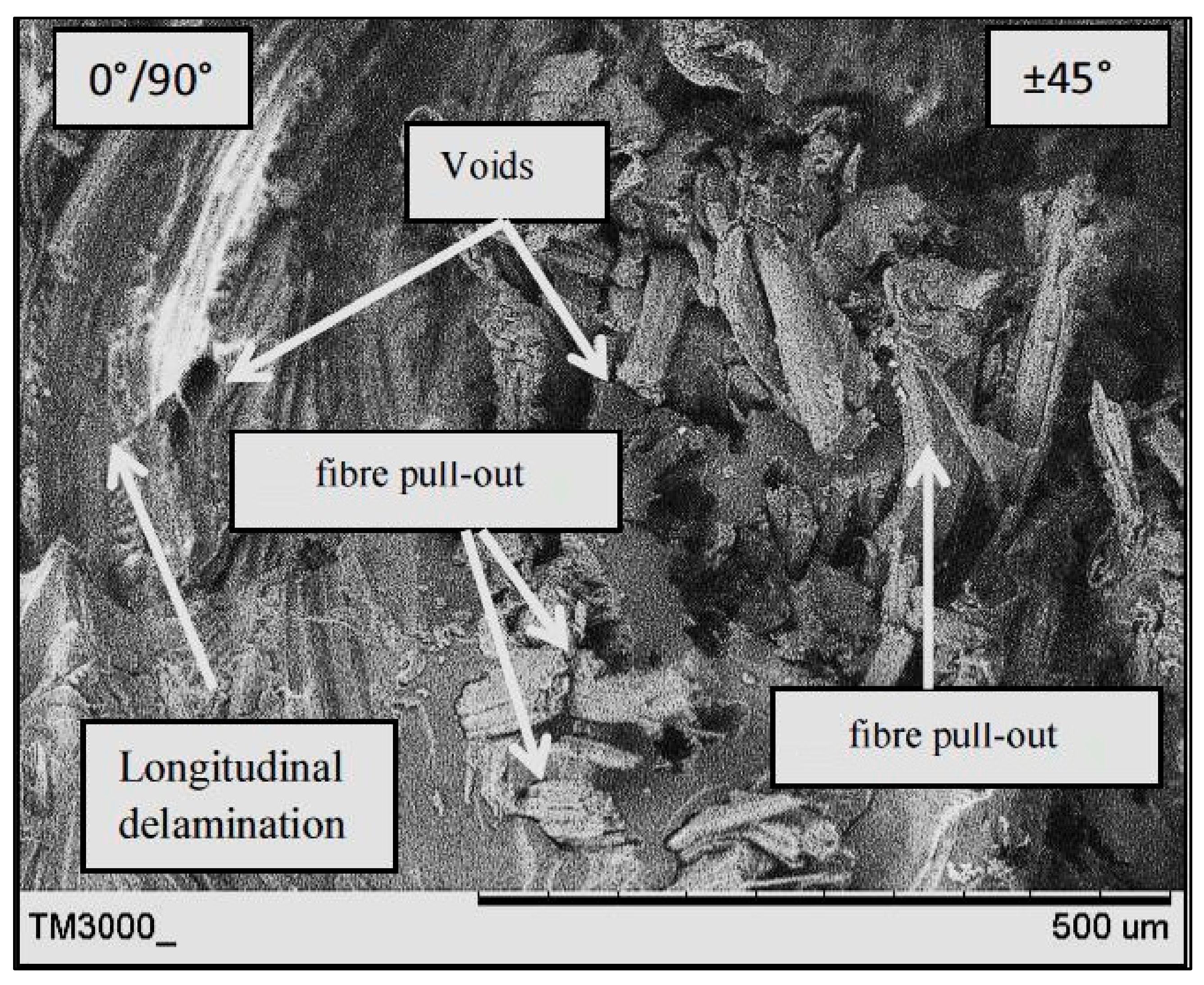 Polymers 13 03936 g008