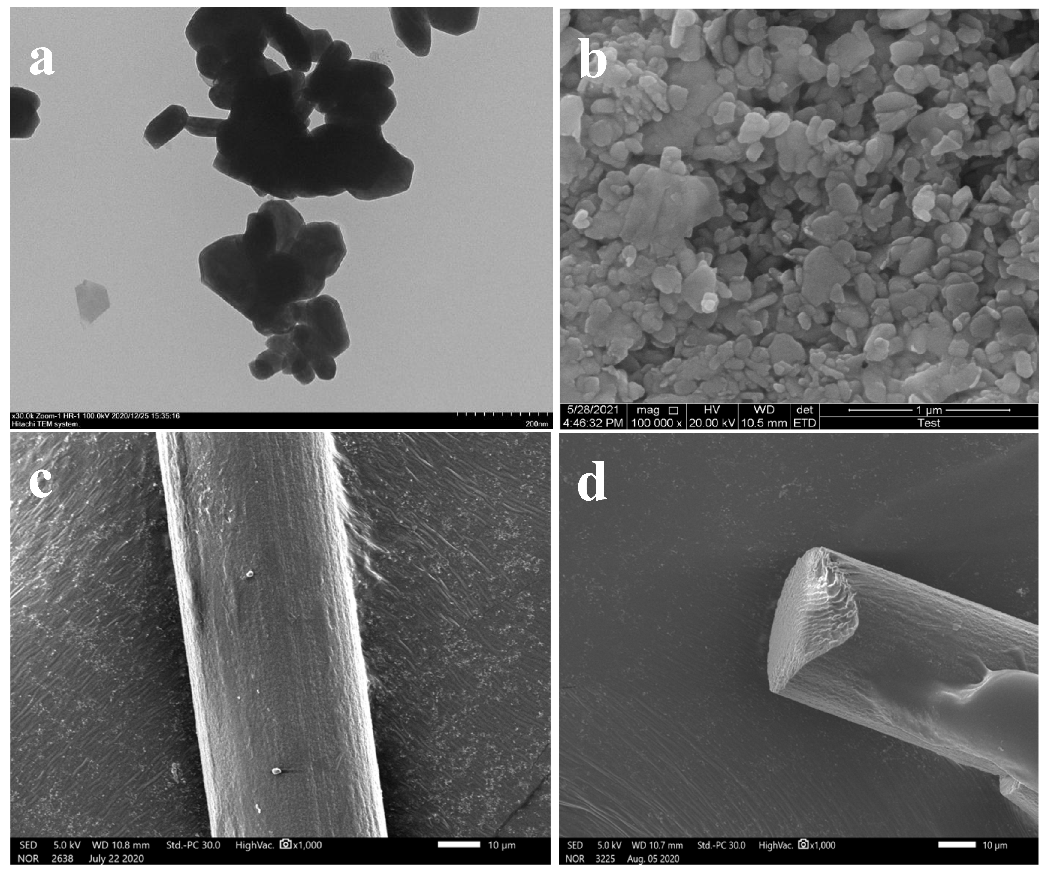 Polymers 13 03937 g001