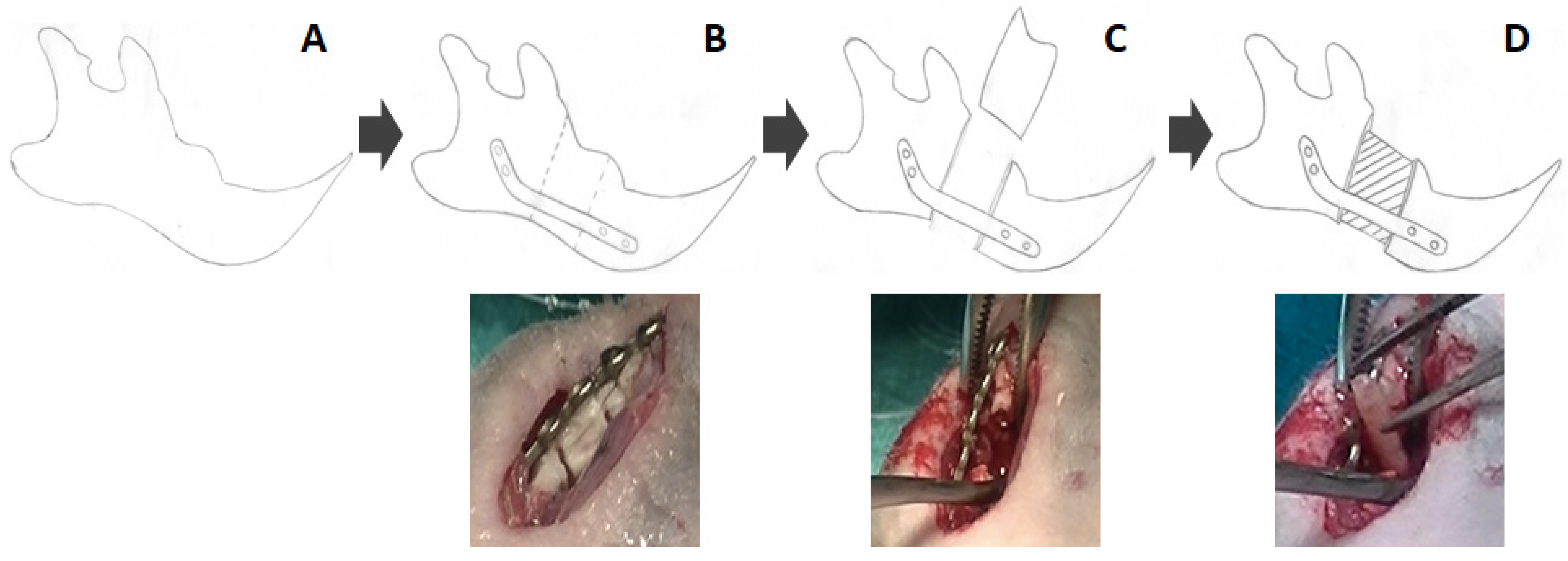 Polymers 13 03939 g001