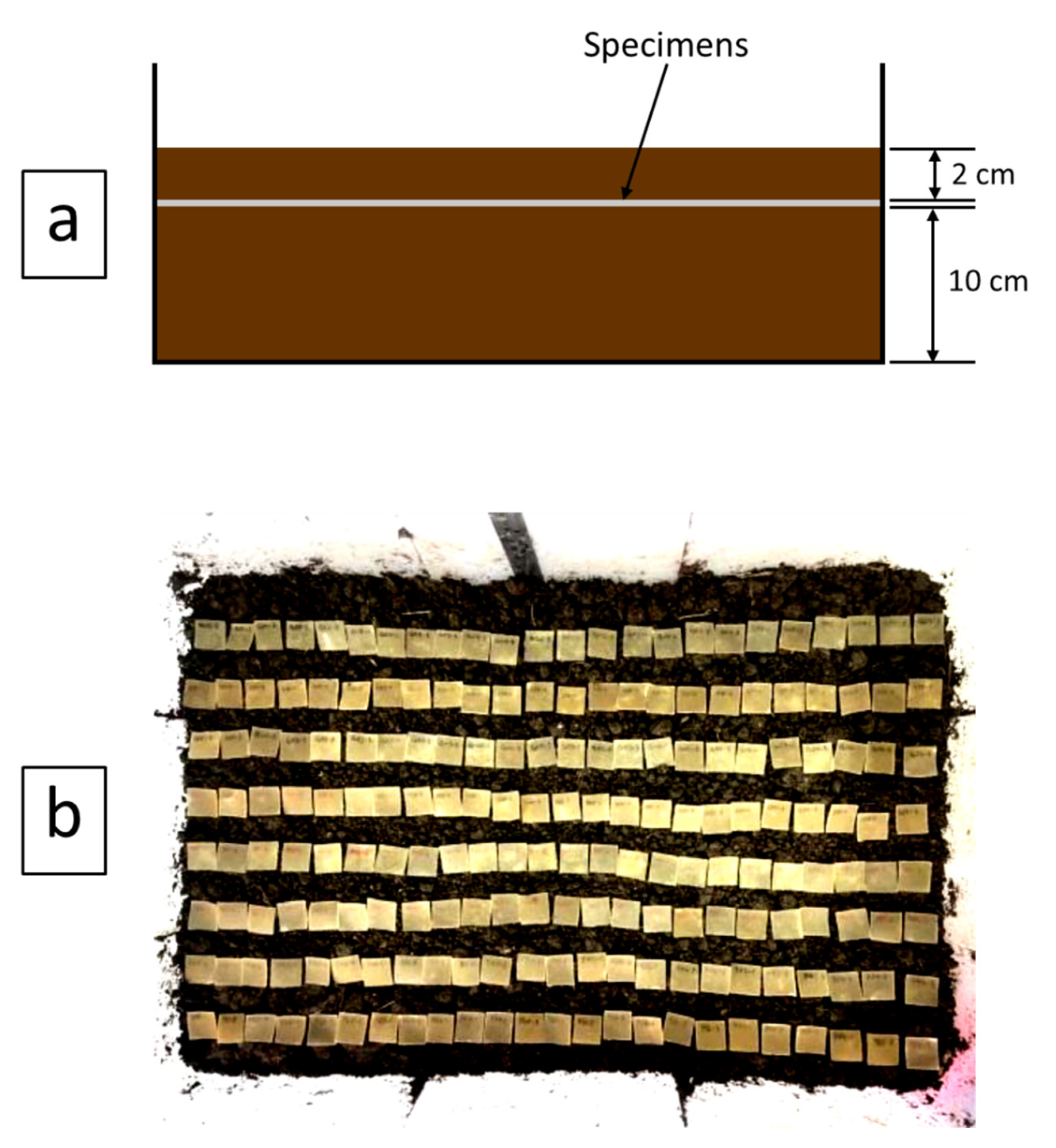 Polymers 13 03940 g002