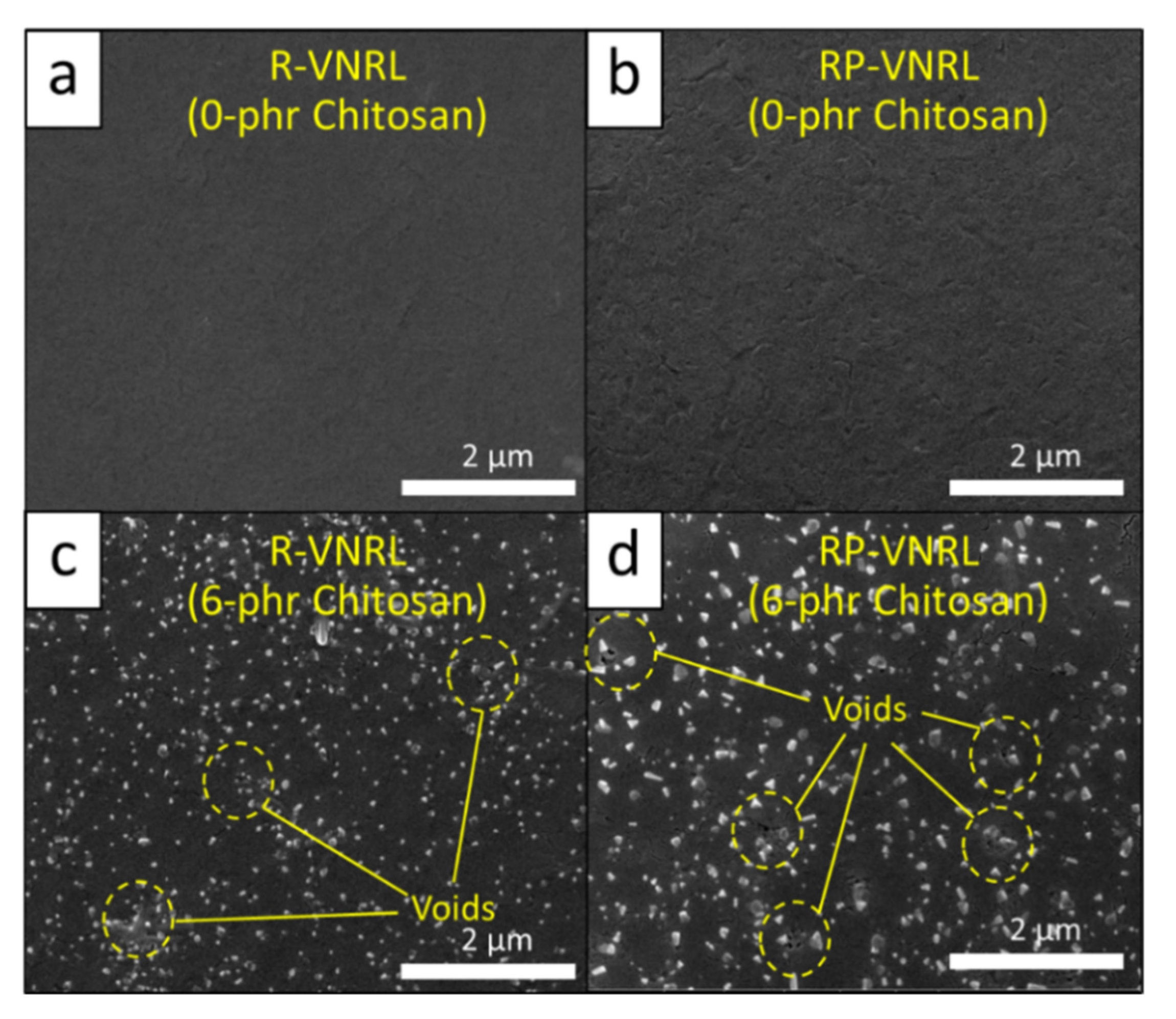 Polymers 13 03940 g005