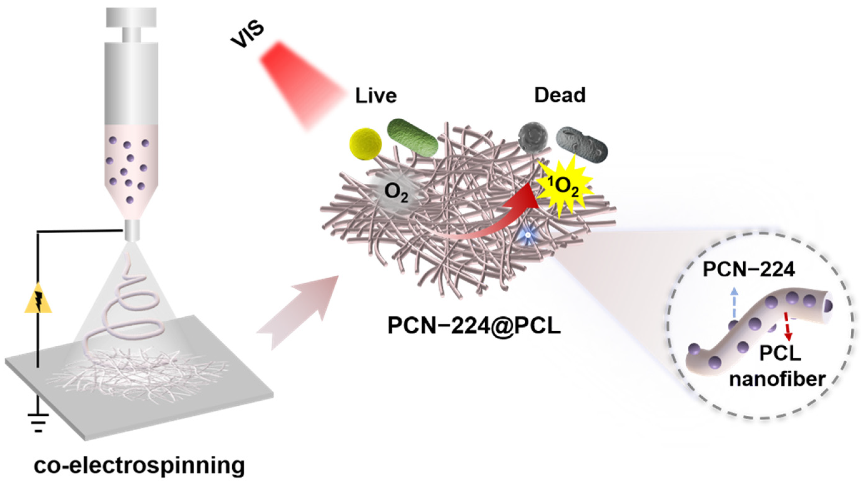 Polymers 13 03942 sch001