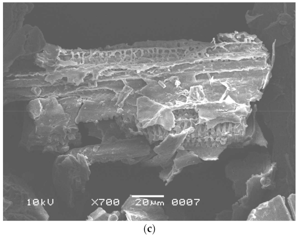 Polymers 13 03943 g001b