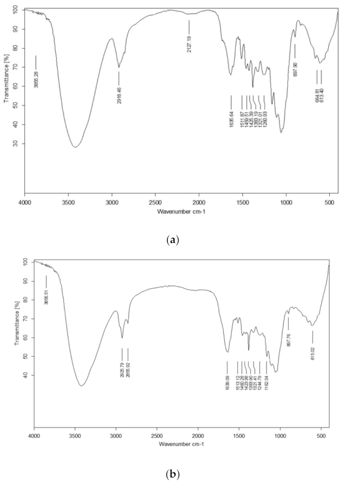 Polymers 13 03943 g002