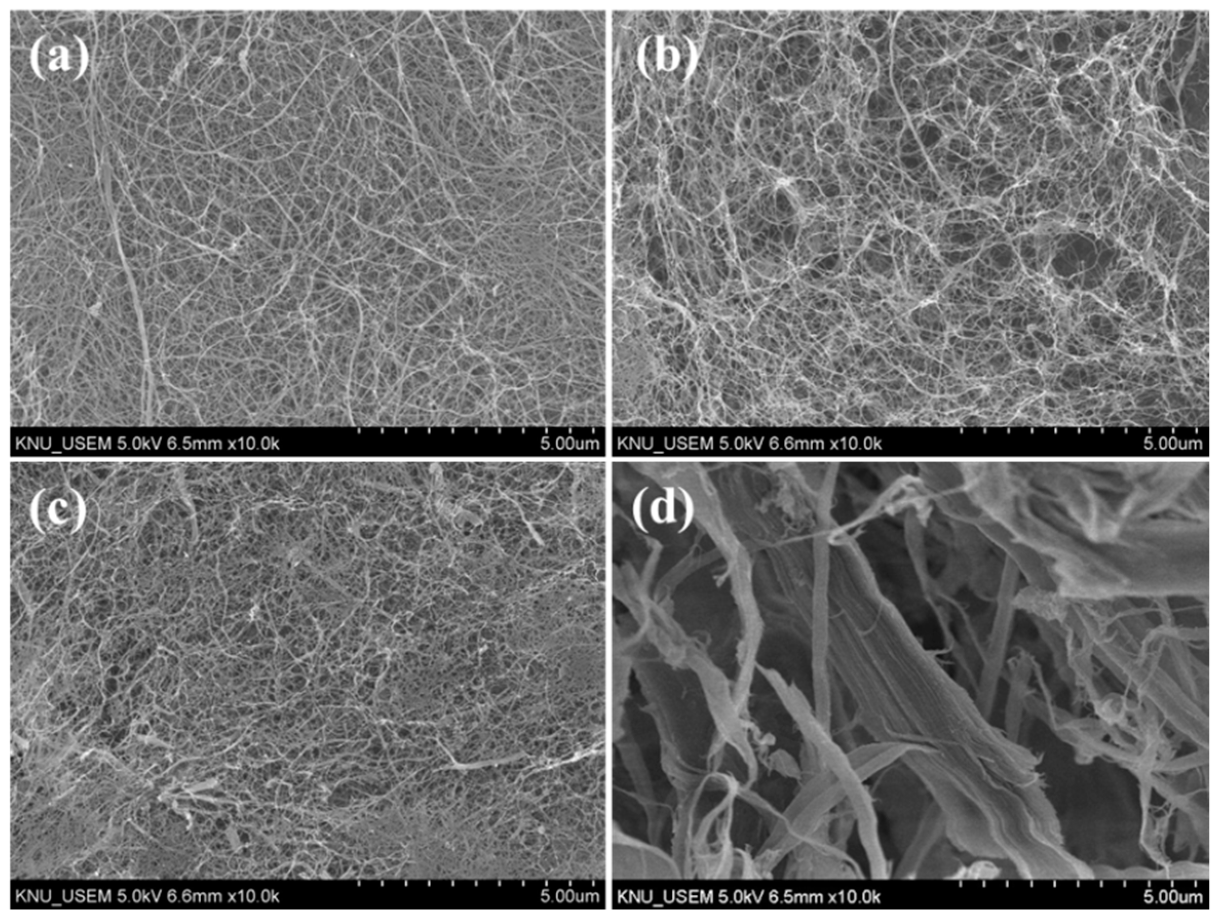 Polymers 13 03945 g001 Polymers 13 03945 g001