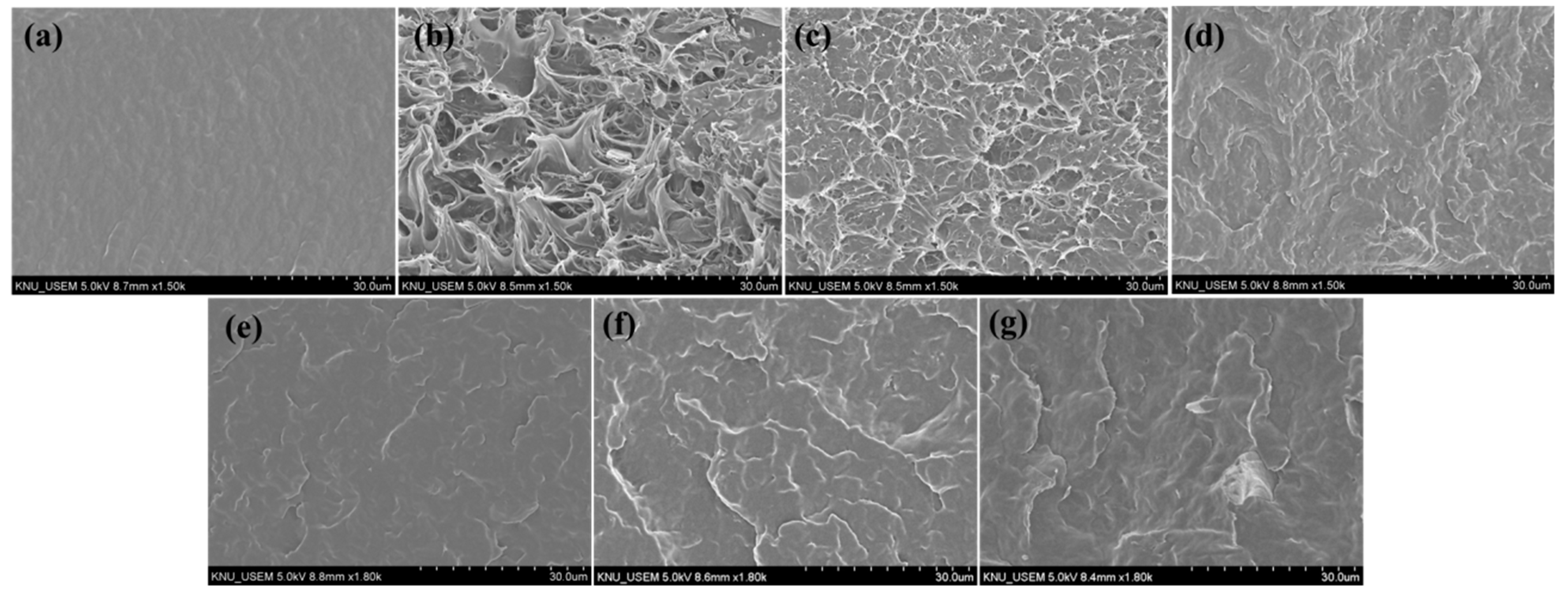 Polymers 13 03945 g003 Polymers 13 03945 g003