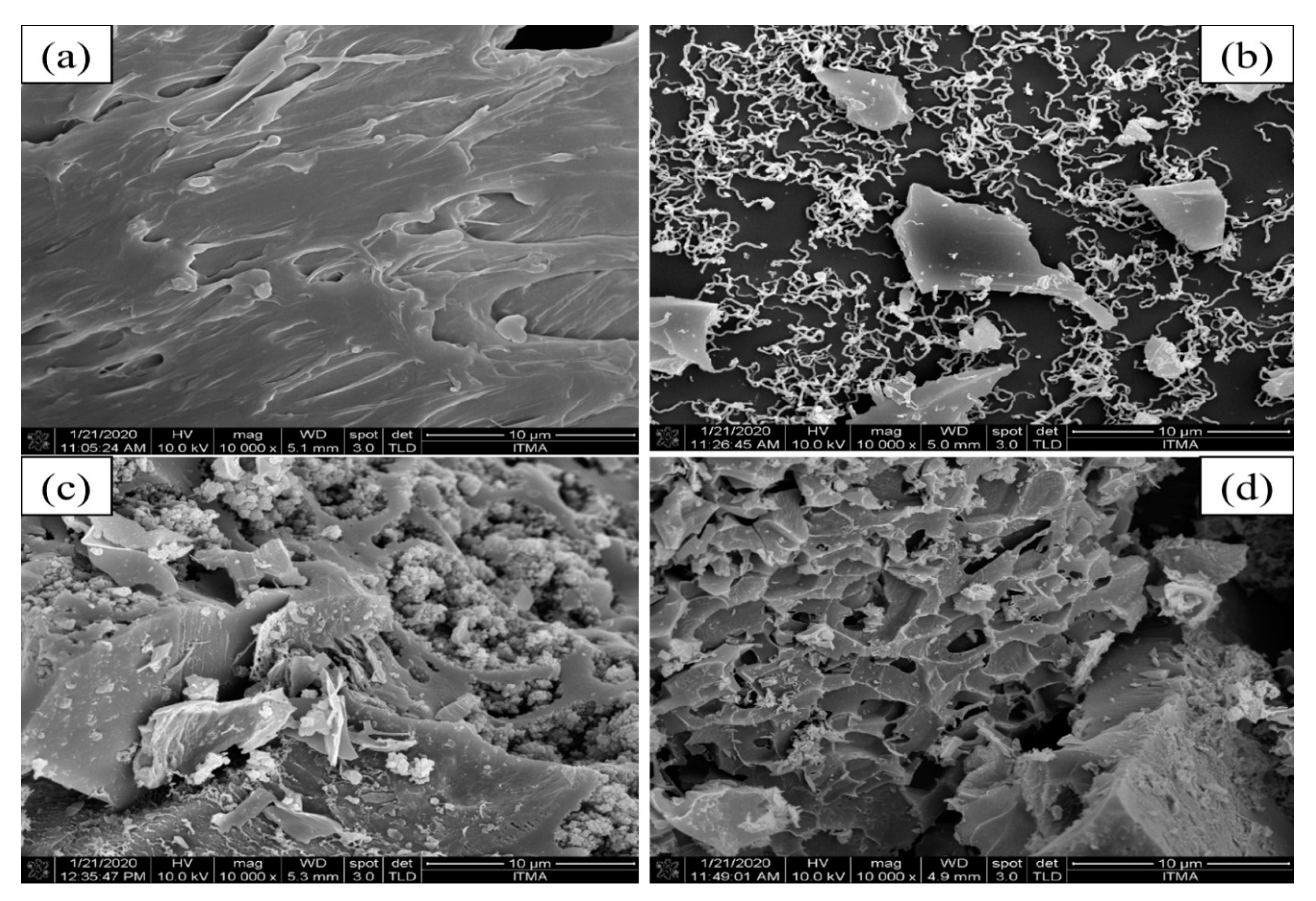 Polymers 13 03952 g002