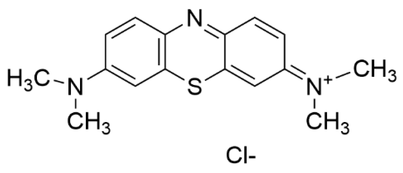 Polymers 13 03955 g001