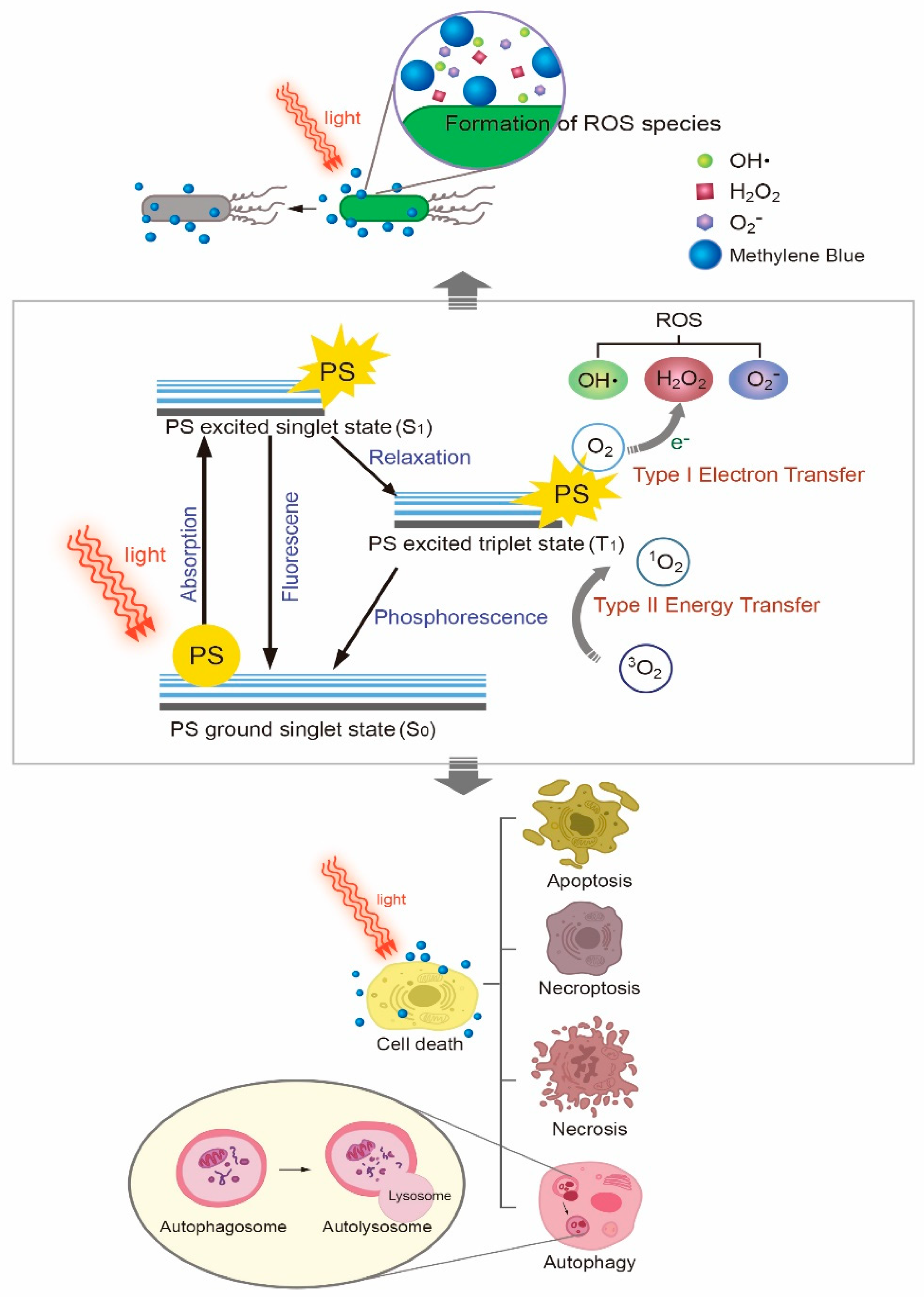 Polymers 13 03955 g002