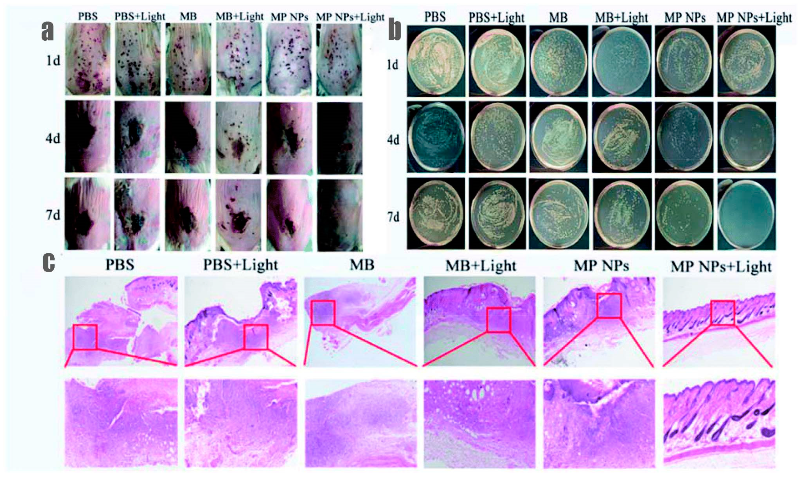 Polymers 13 03955 g006