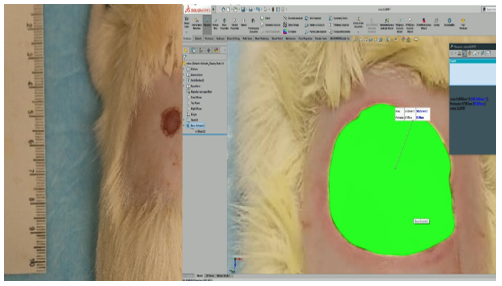 Polymers 13 03958 g001 Polymers 13 03958 g001