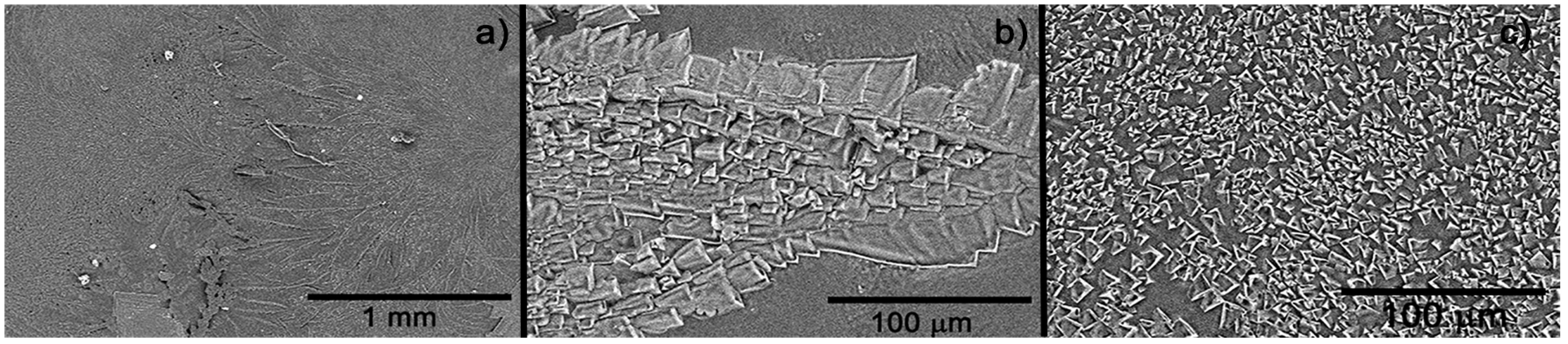 Polymers 13 03958 g005 Polymers 13 03958 g005
