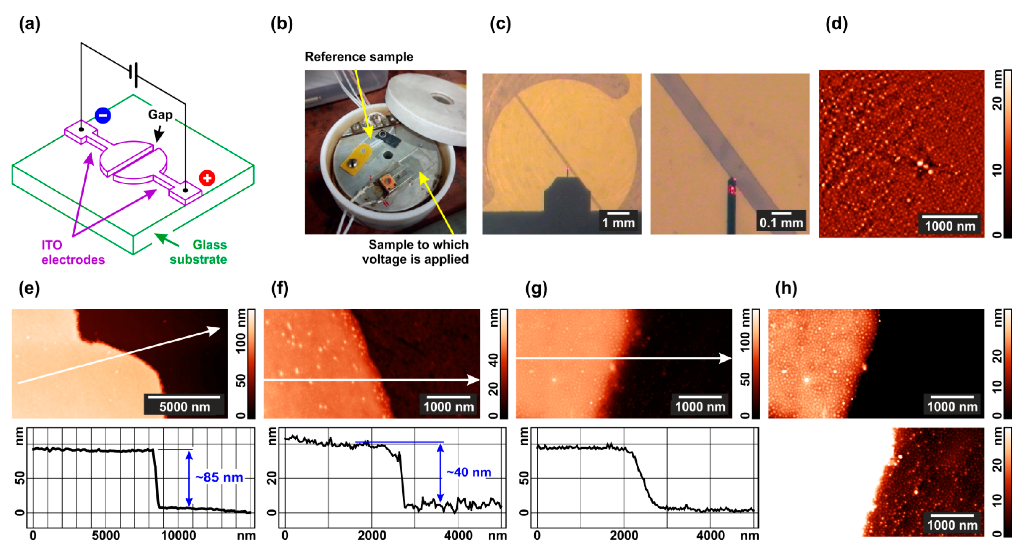 Polymers 13 03959 g001
