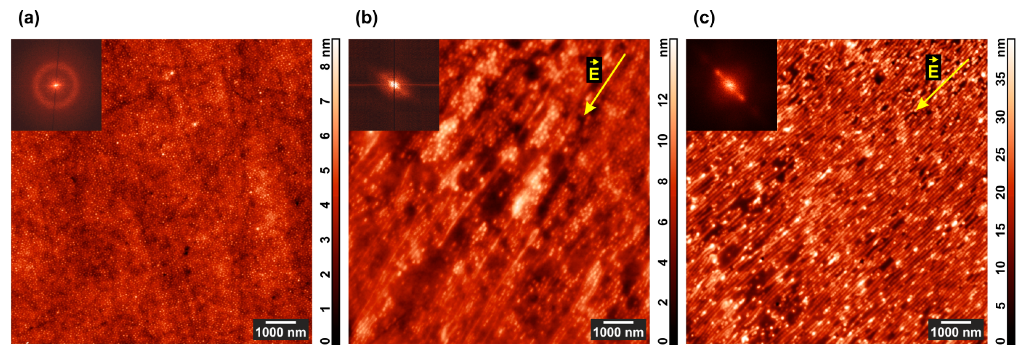Polymers 13 03959 g003