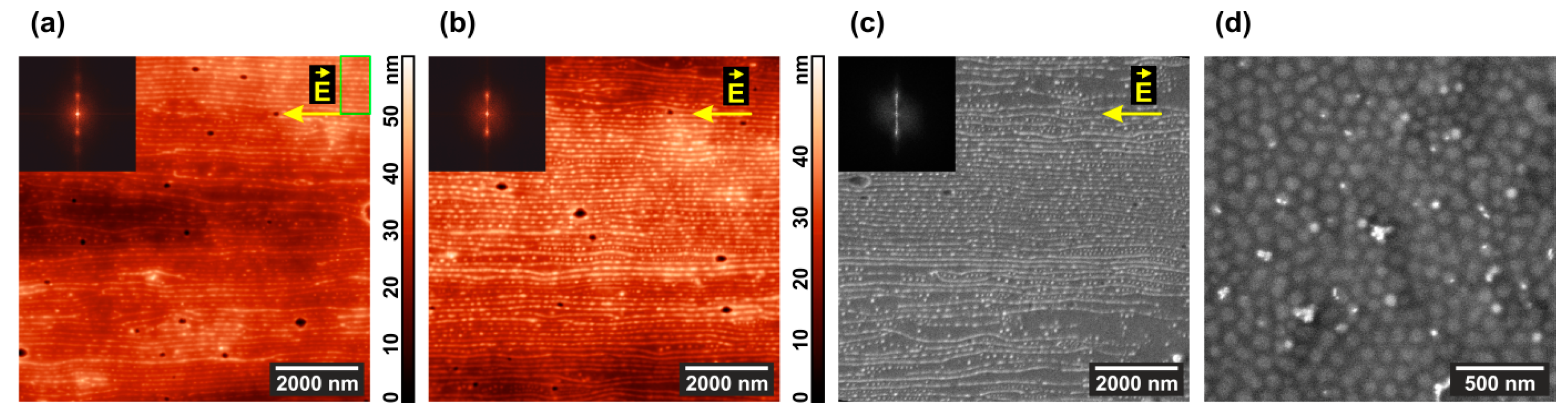 Polymers 13 03959 g005