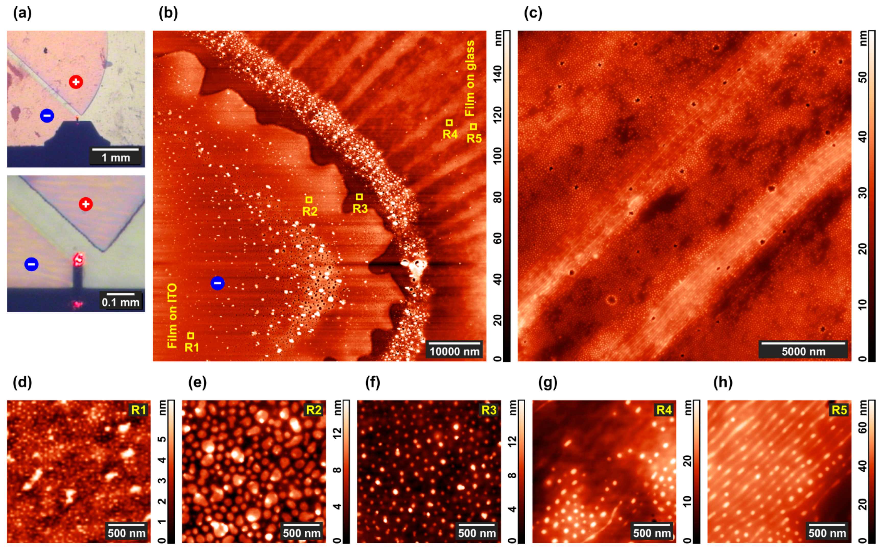 Polymers 13 03959 g007