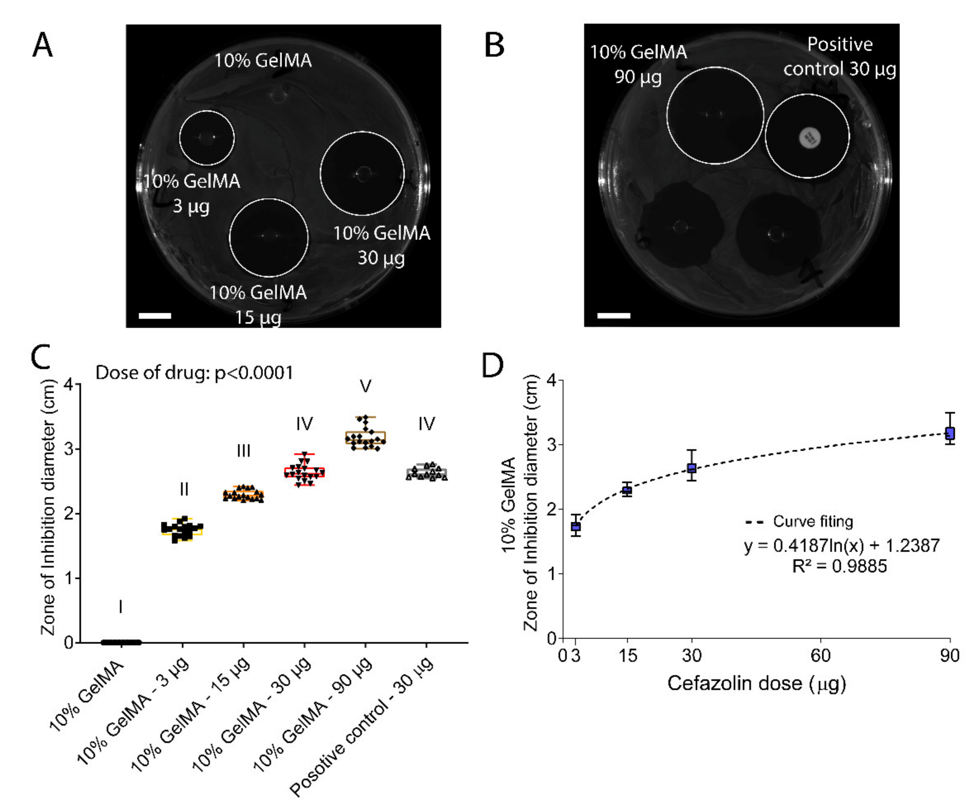 Polymers 13 03960 g008